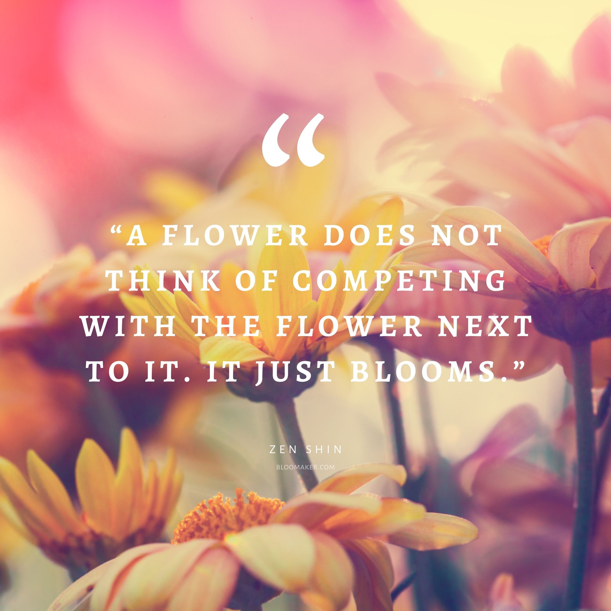 55 Inspirational Flower Quotes - Beautiful Motivational Sayings with ...