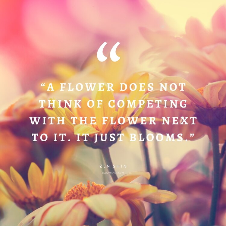 “A flower does not think of competing with the flower next to it. It just blooms.”– Zen Shin