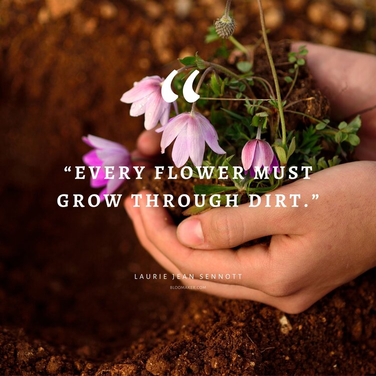 “Every flower must grow through dirt.”– Laurie Jean Sennott