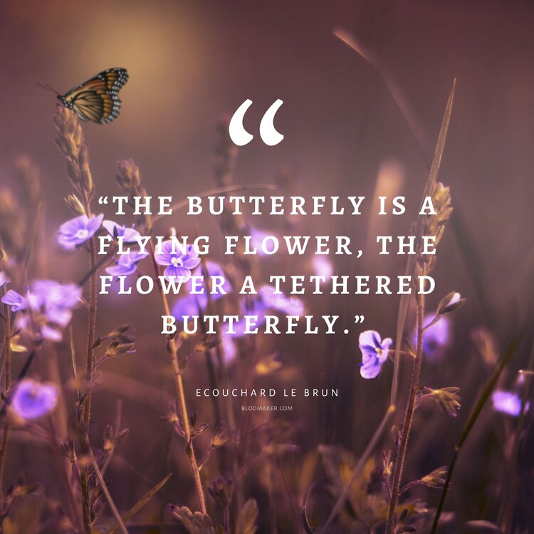 “The butterfly is a flying flower, the flower a tethered butterfly.” – Ecouchard Le Brun