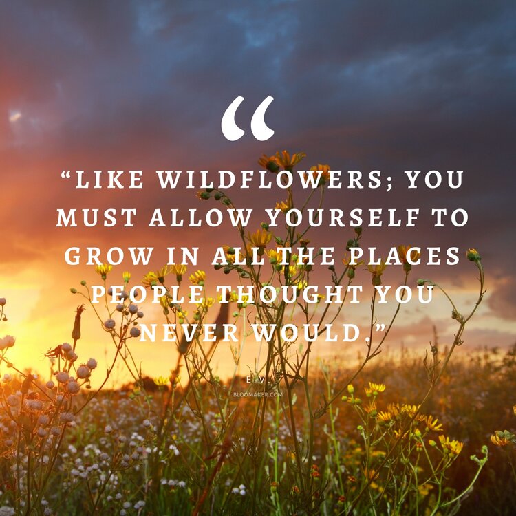 “Like wildflowers; You must allow yourself to grow in all the places people thought you never would.”– E.V.