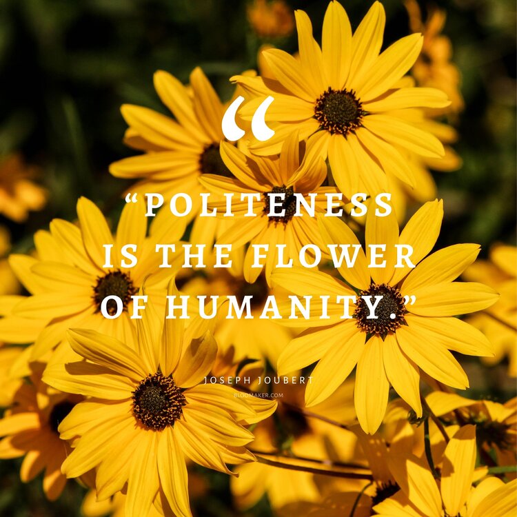 “Politeness is the flower of humanity.” – Joseph Joubert