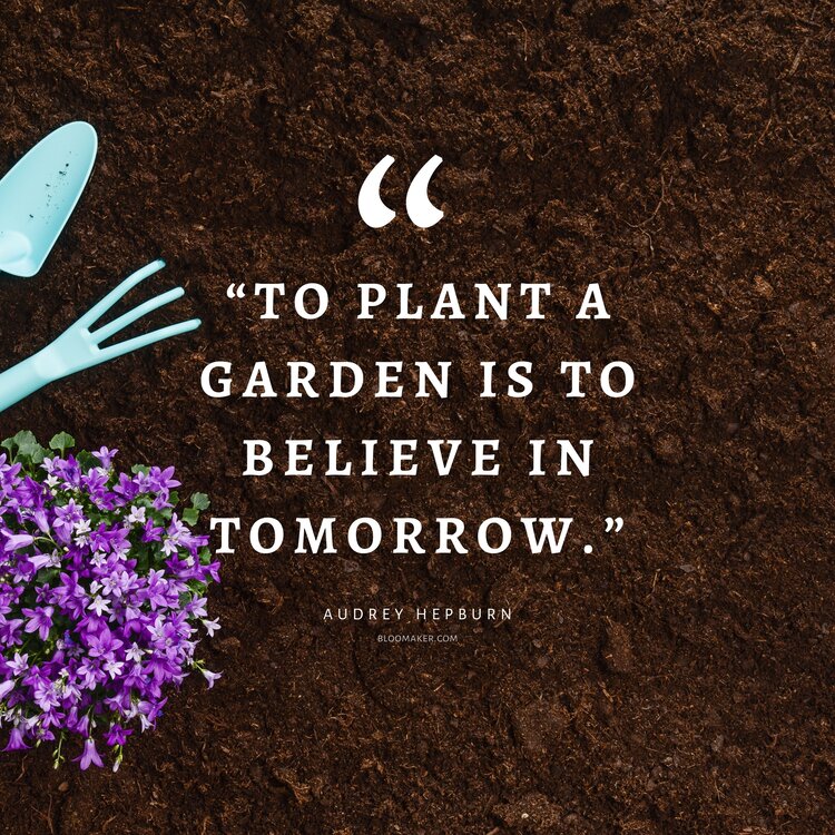 “To plant a garden is to believe in tomorrow.”– Audrey Hepburn