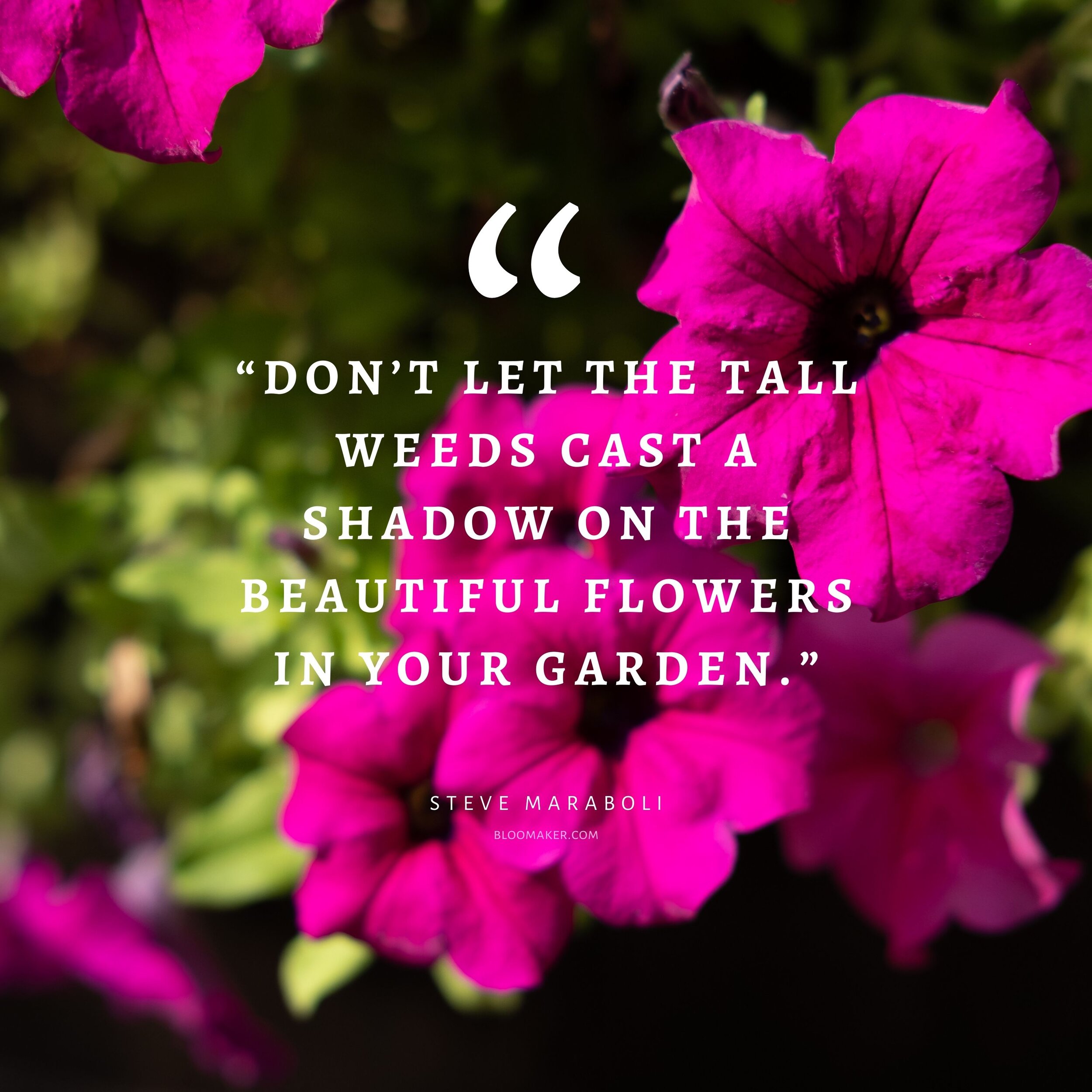 55 Inspirational Flower Quotes