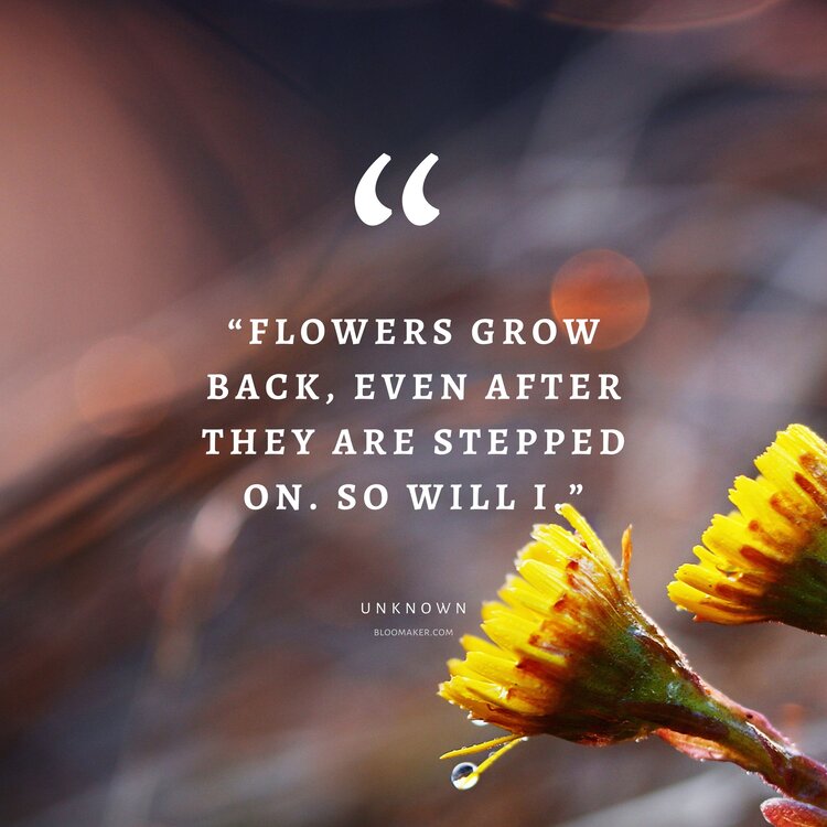 “Flowers grow back, even after they are stepped on. So will I.”– Unknown