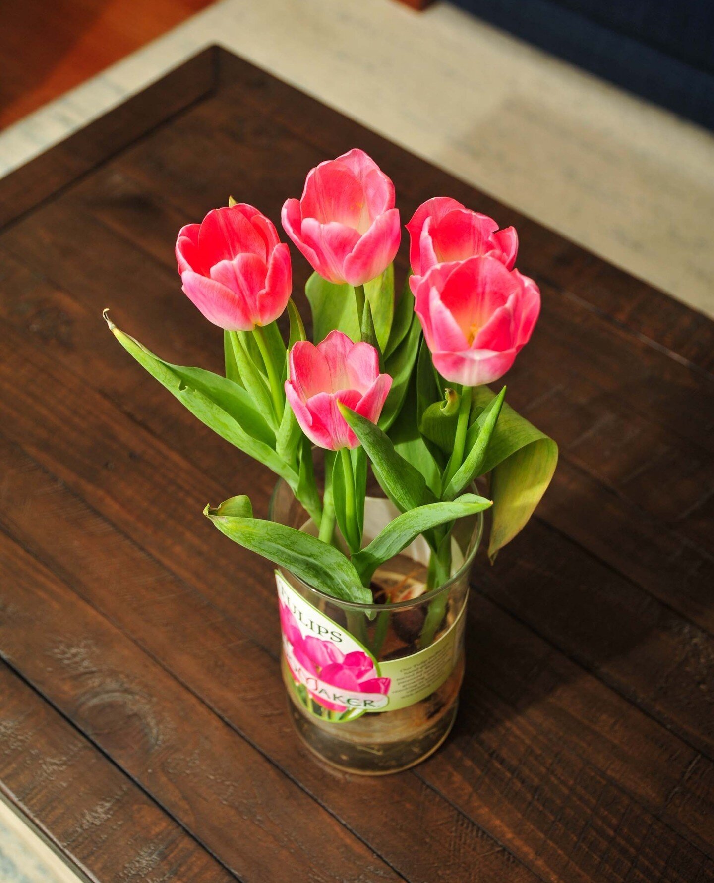 Online Floral Shop Amaryllis & Tulips Bloomaker USA, Inc.