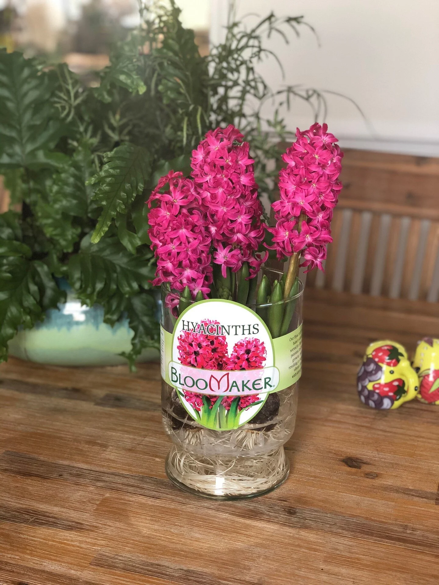 Online Floral Shop Amaryllis & Tulips Bloomaker USA, Inc.