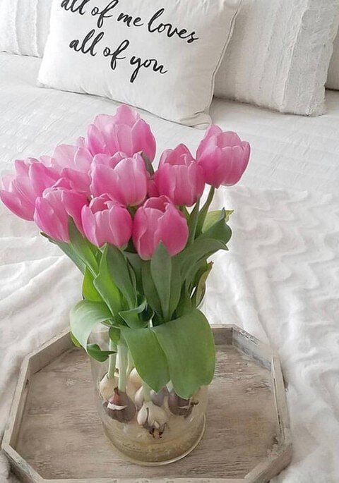 Happy Flower Friday!! Today we are featuring our Long Life Tulips photographed by @blessestoinspire | If you would like to have us feature your Bloomaker blooms, be sure to tag us!! 
#Tulips #LongLifeTulips #Bloomaker #BloomakerTulips #Hydroponics #F