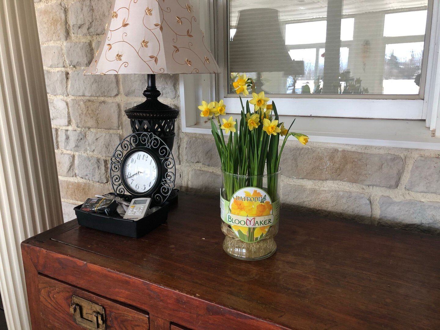 Top Tip Tuesday: If you've been growing Daffodils for numerous seasons make sure to divide the bulbs up as they tend to multiply over time. This can lead to crowded bulbs resulting in reduced blooms as they'd love some room to breathe! 💐
.
.
.
.
#Da