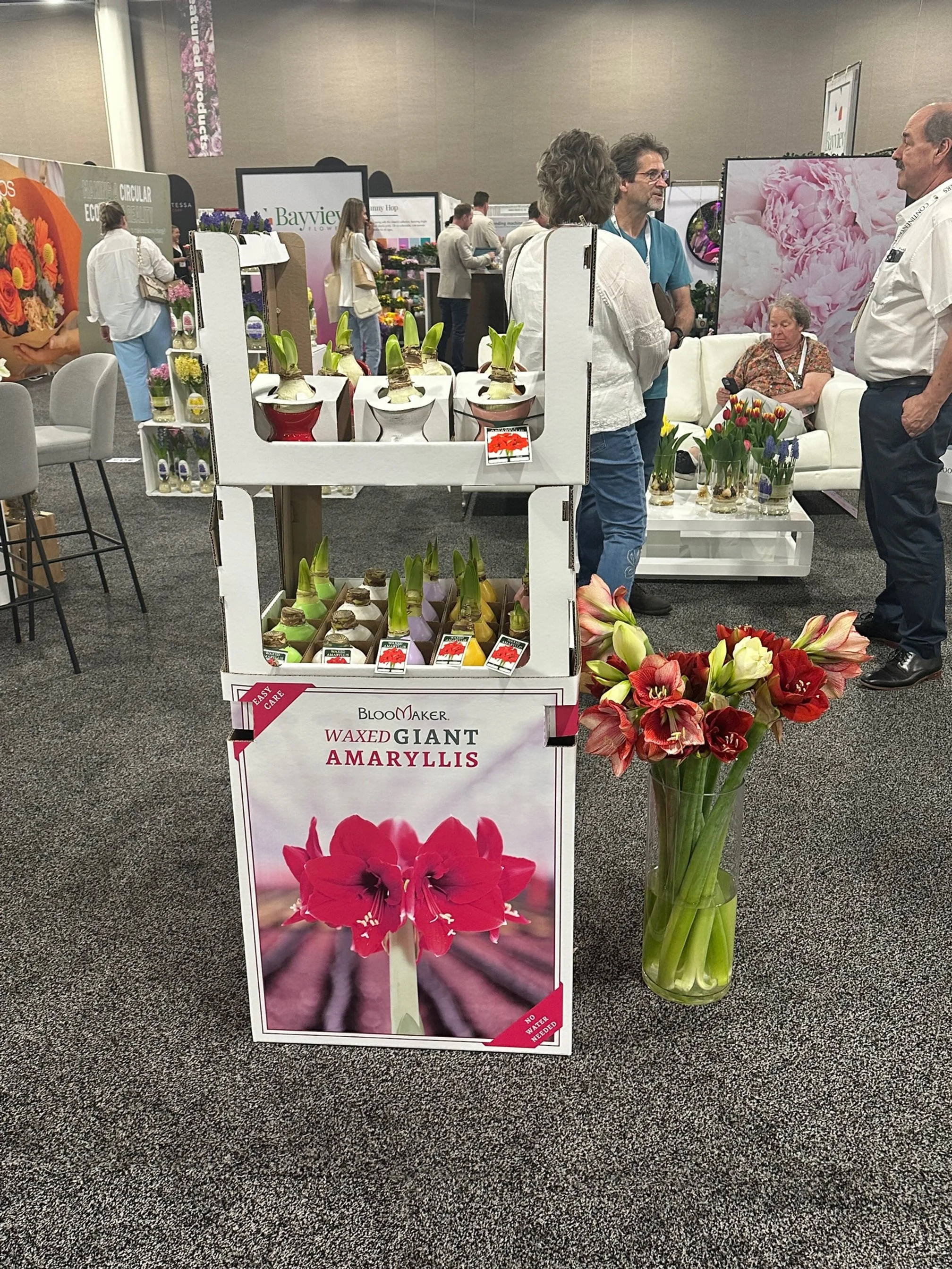 Online Floral Shop Amaryllis & Tulips Bloomaker USA, Inc.