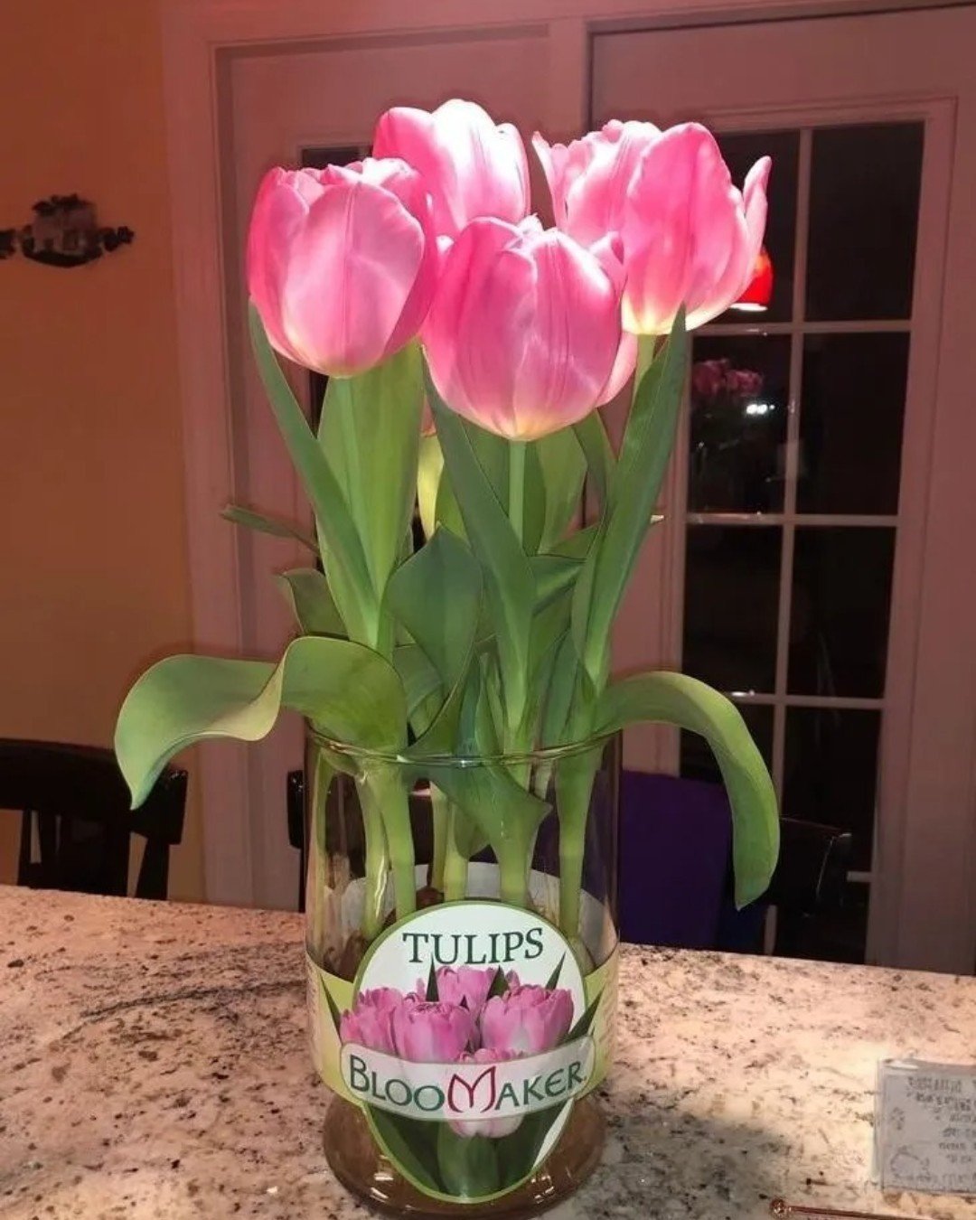 Did you know tulips were once more valuable than gold in Holland?! Our Long Life Tulips are available in a variety of colors at a store near you! What&rsquo;s your favorite tulip color? Comment below!! 🌷✨
.
.
.
.
#FunFact #FlowerFacts #Tulips #Holla