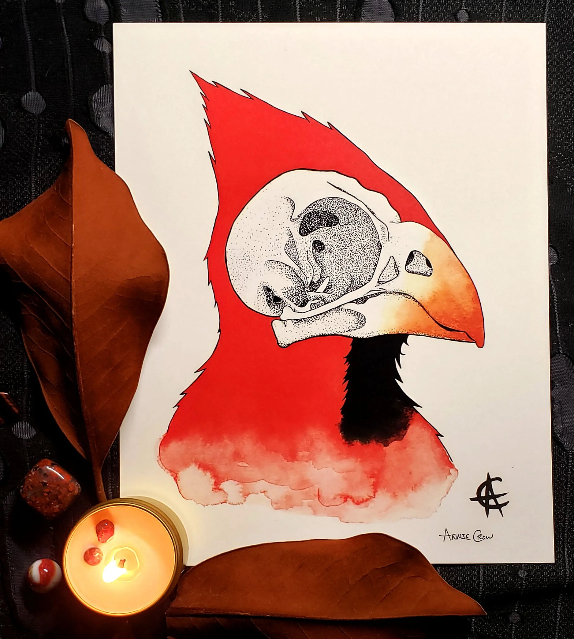 Cardinal Skull