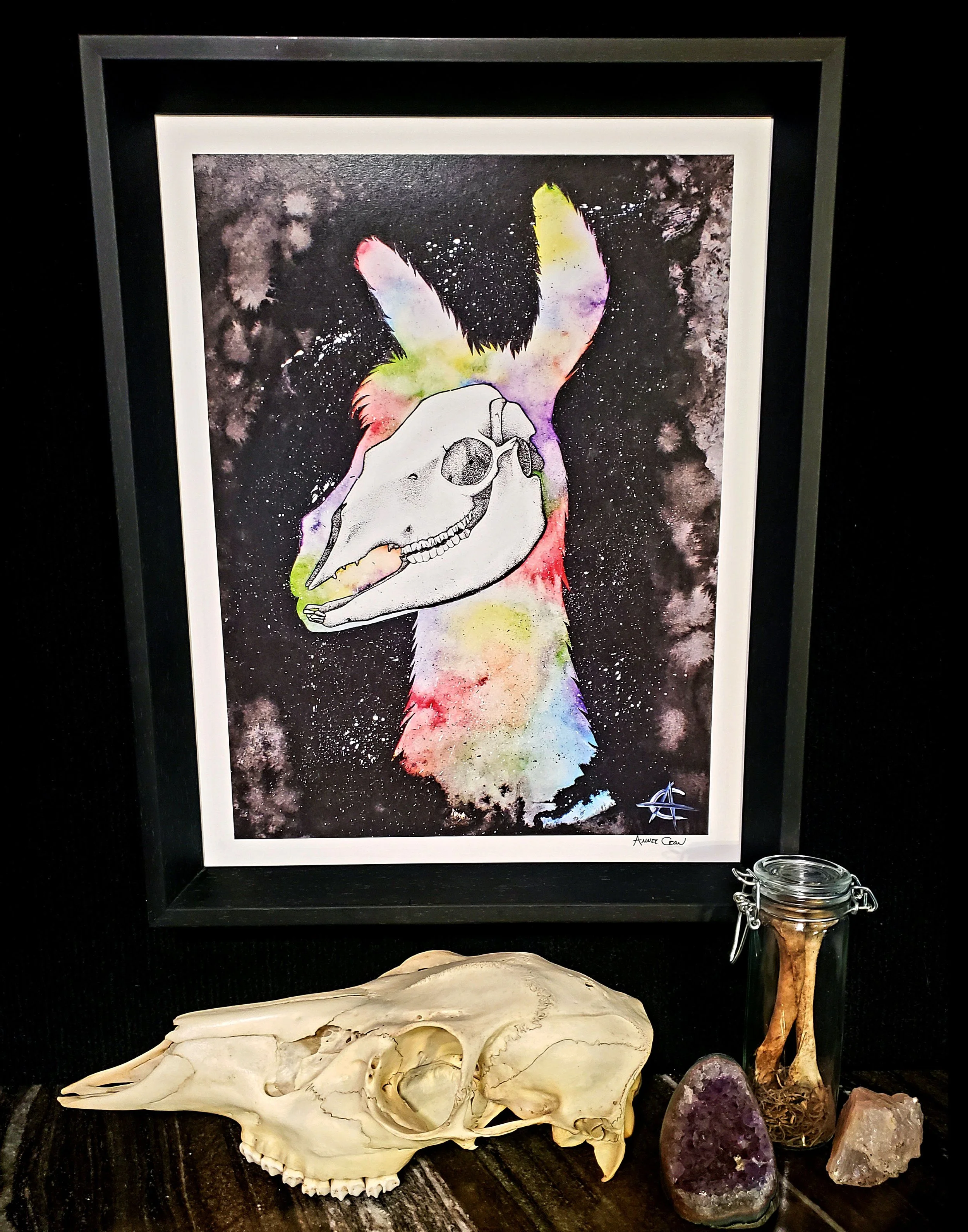 Rainbow Llama Framed.jpg