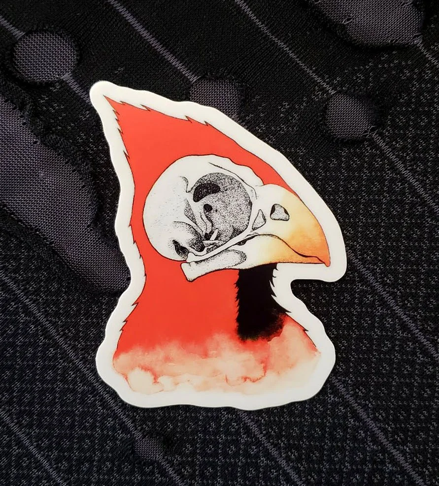 Cardinal.jpg