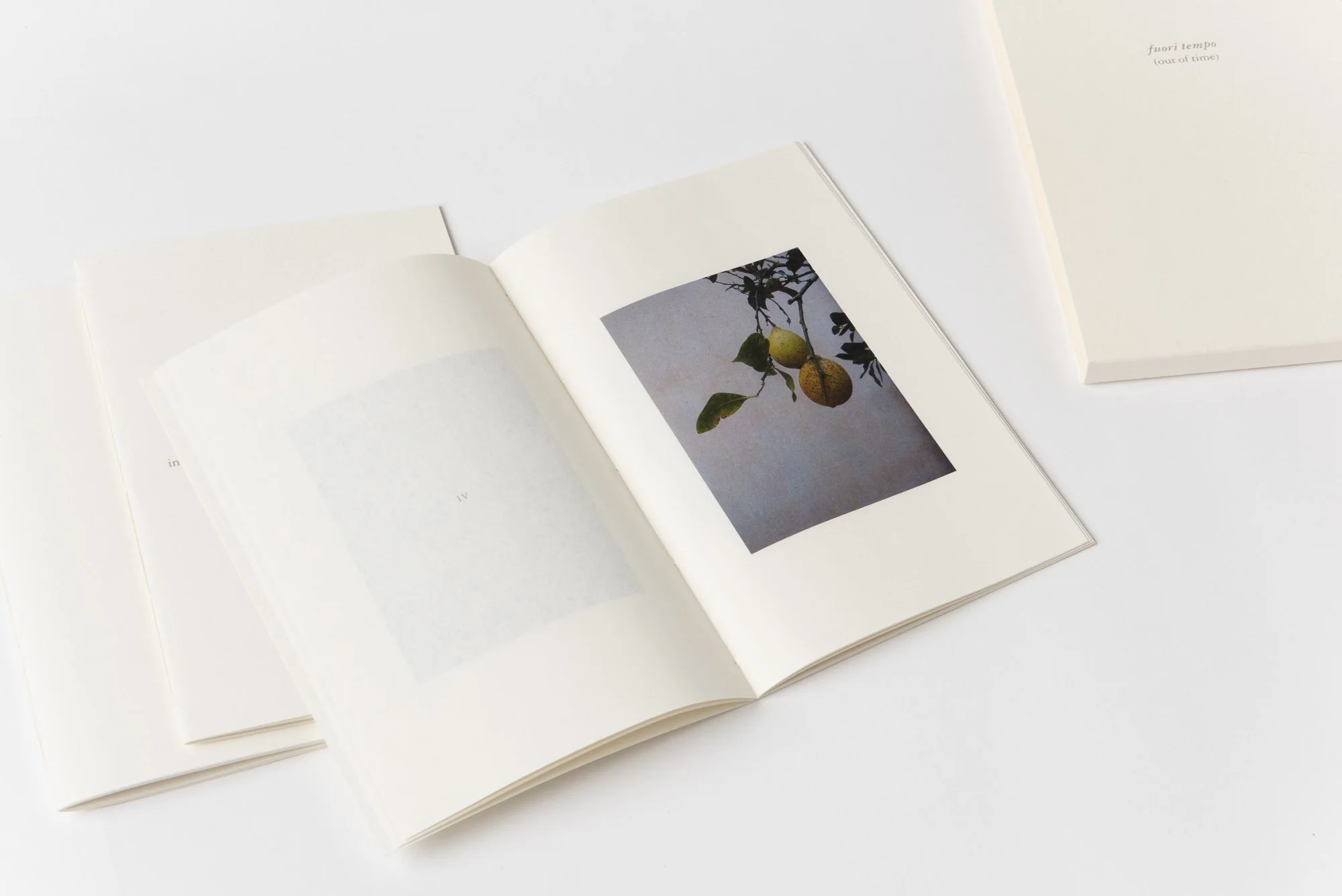 fuori tempo-7.jpg