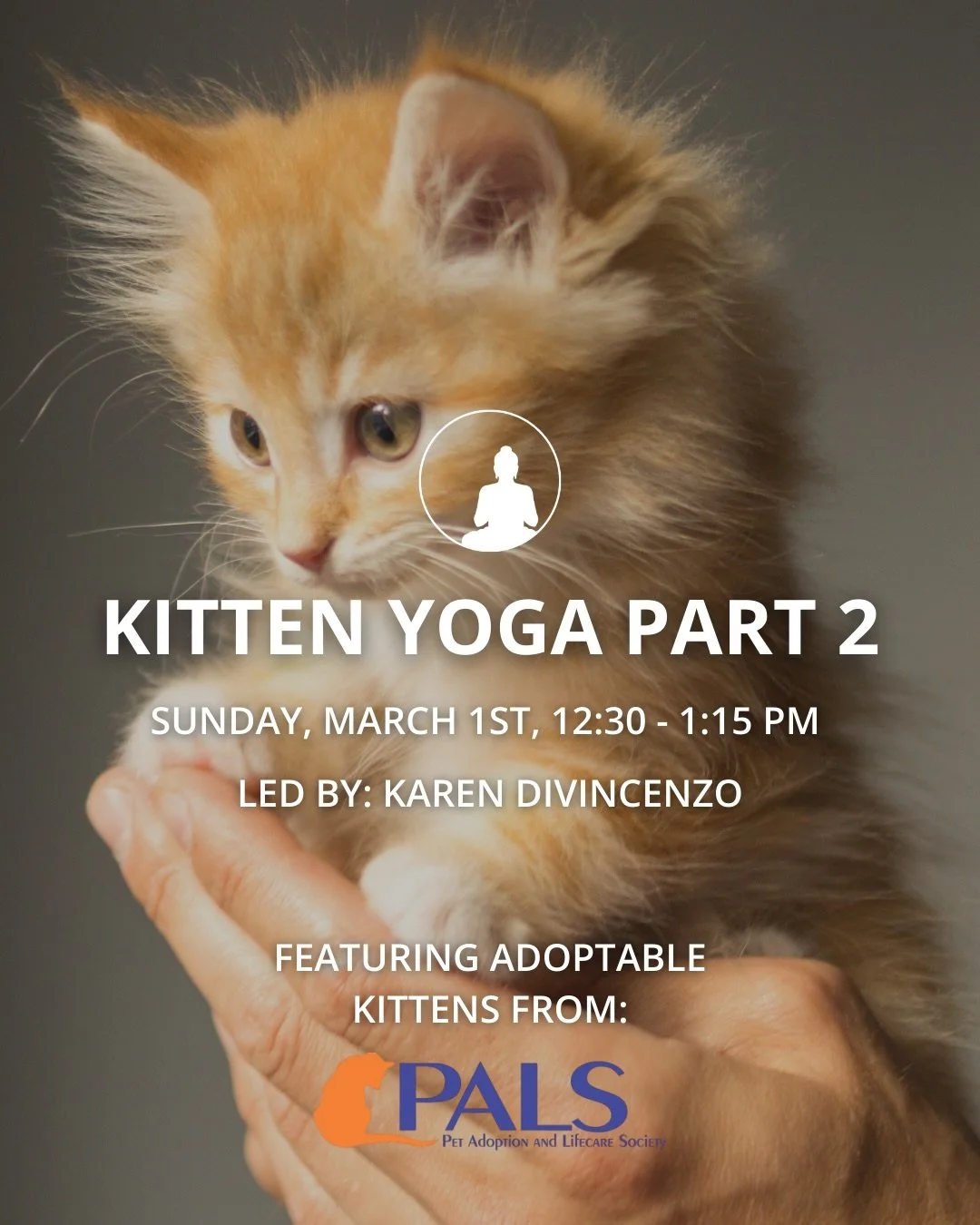 WOW. Y&rsquo;all really want to do Kitten Yoga, so we made a second class right after the first 🐈 Whoever couldn&rsquo;t grab a spot - this is for you! Comment WORKSHOP for the link to sign up 🤍