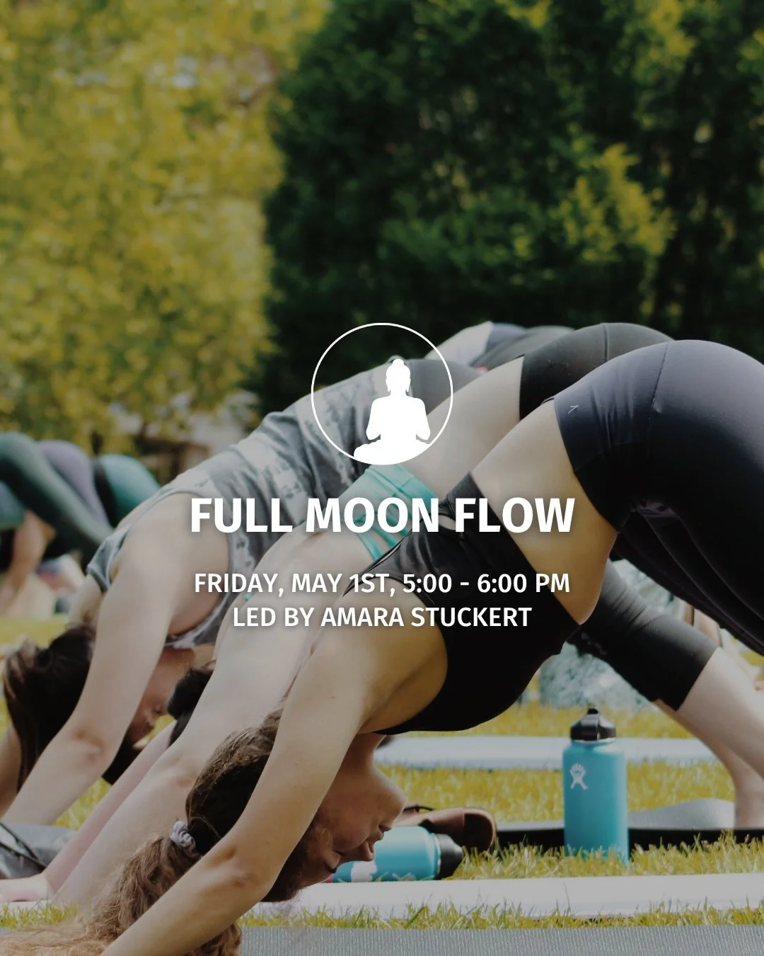 Join Amara for our first outdoor Full Moon Flow of the season! 🌕🧘&zwj;♀️

Comment WORKSHOP for the sign up link 🔗