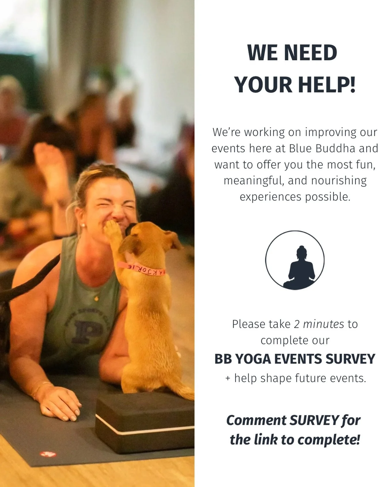 WE WANT TO HEAR FROM YOU. 🤍 Help us create better yoga and wellness events for our community! Comment SURVEY for the link to complete 🙏
