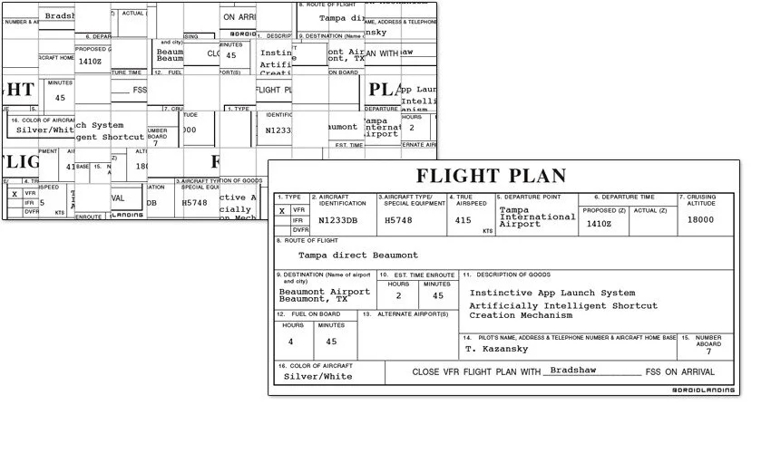 Flight_Alt15_1000.jpg