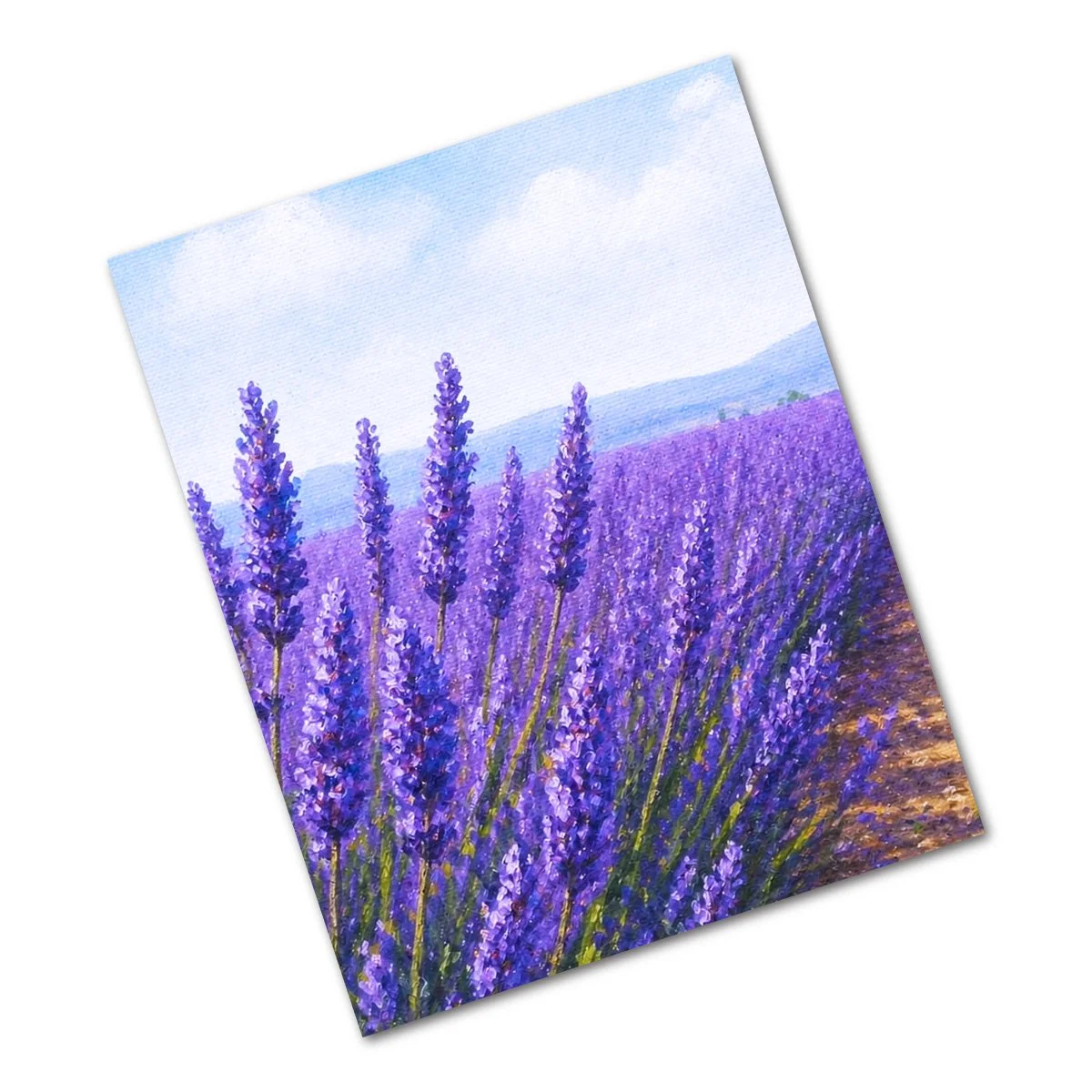 → Lavender