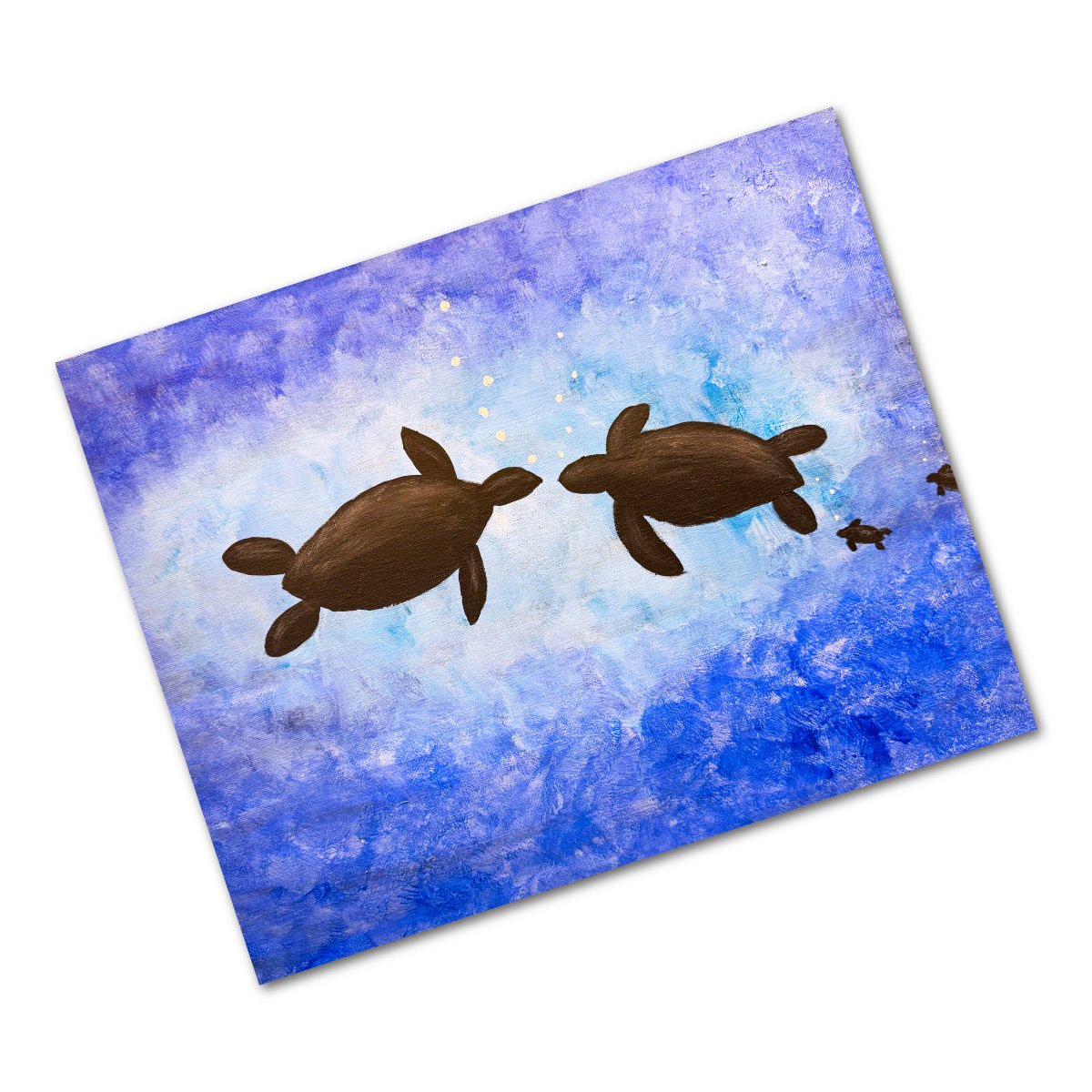 → Turtle Family