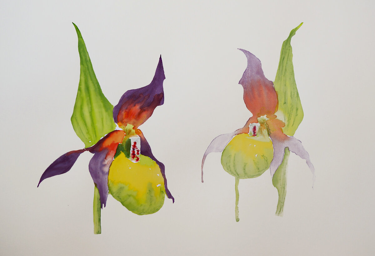 LUMB_LADY'S_SLIPPER_ORCHID_SCREENMONOPRINT.jpg