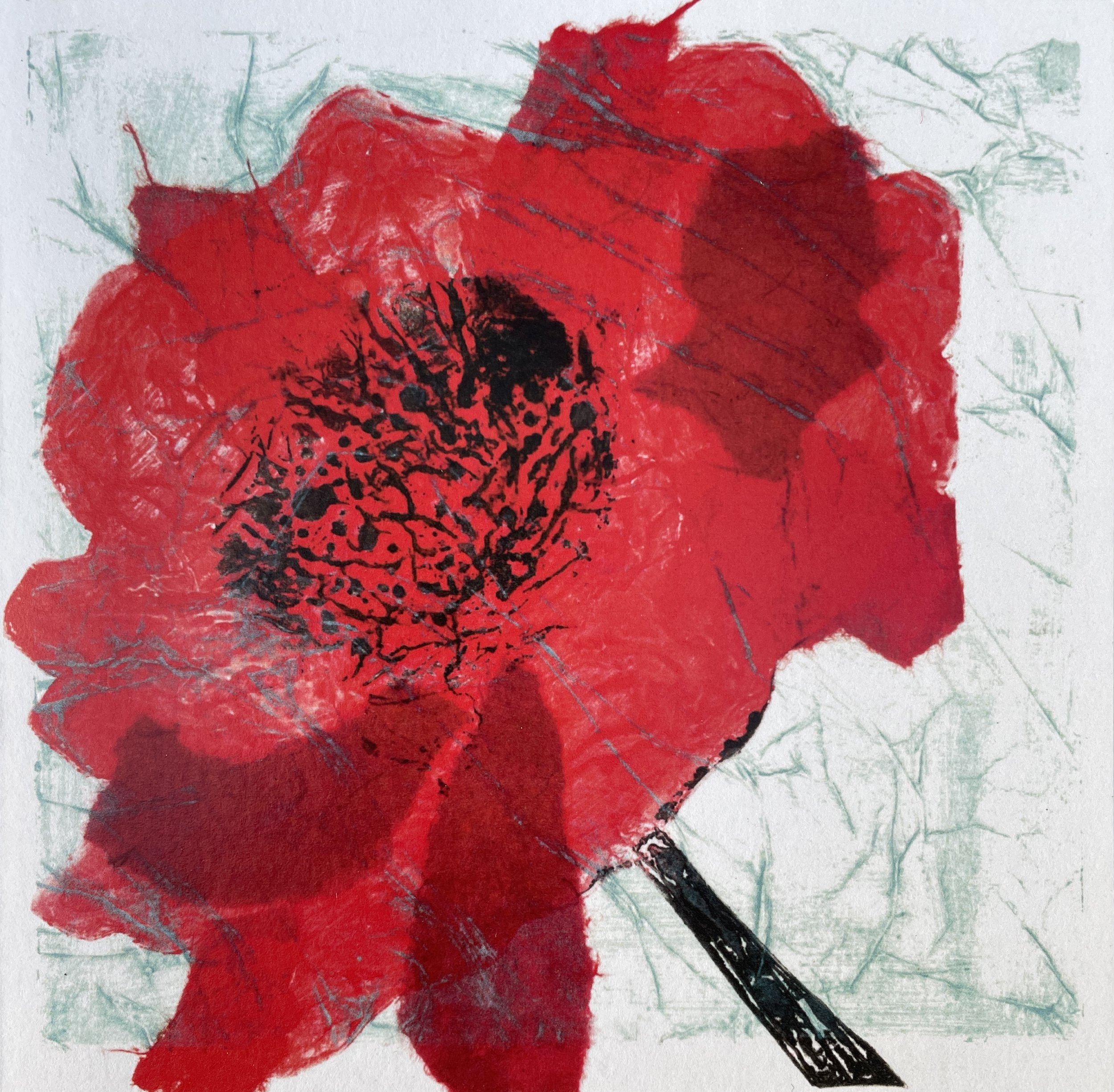 carole oldfield - poppy.JPG