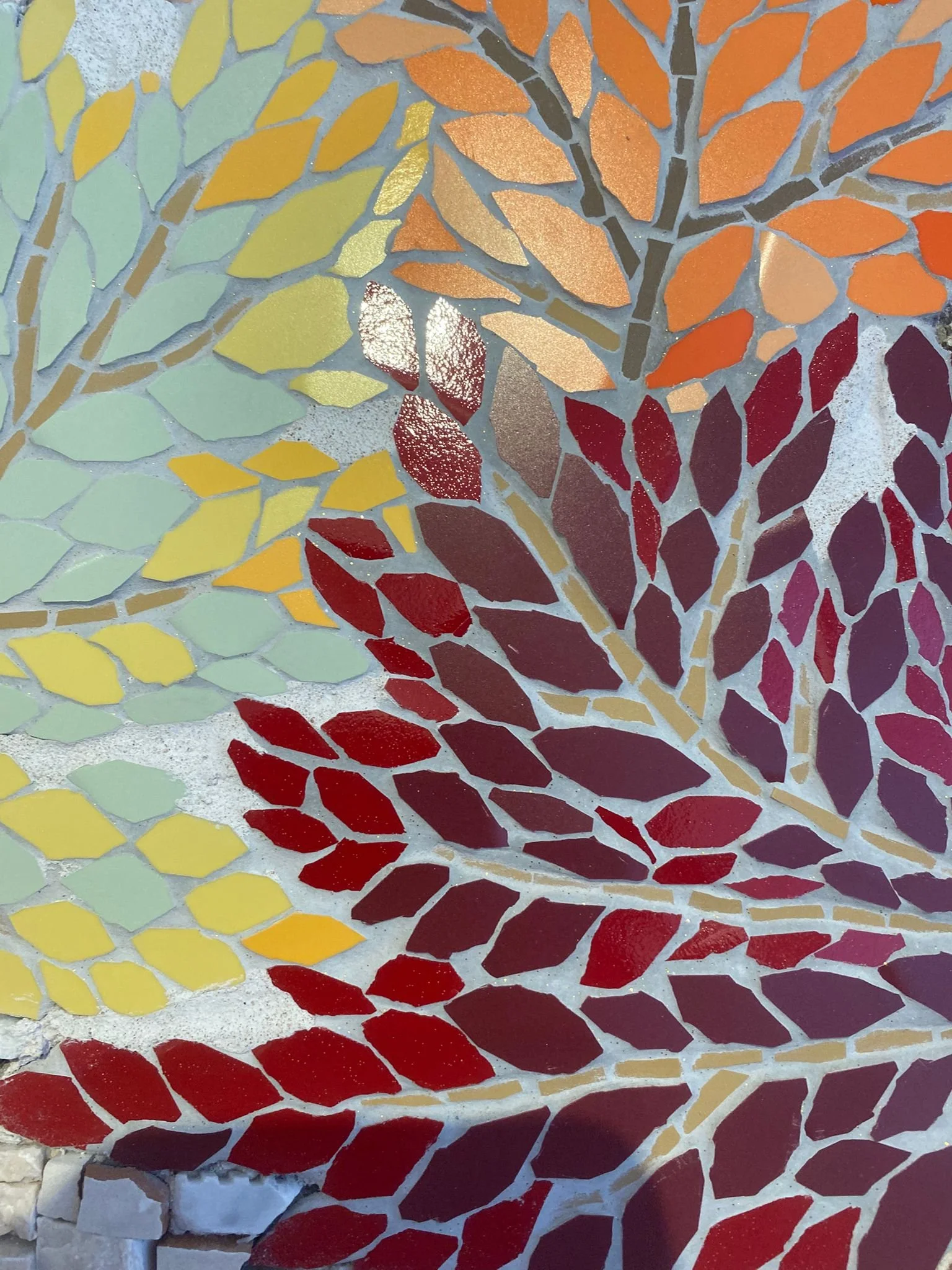 WhatsApp Image 2025-09-17 at 13.10.45 (1).jpeg