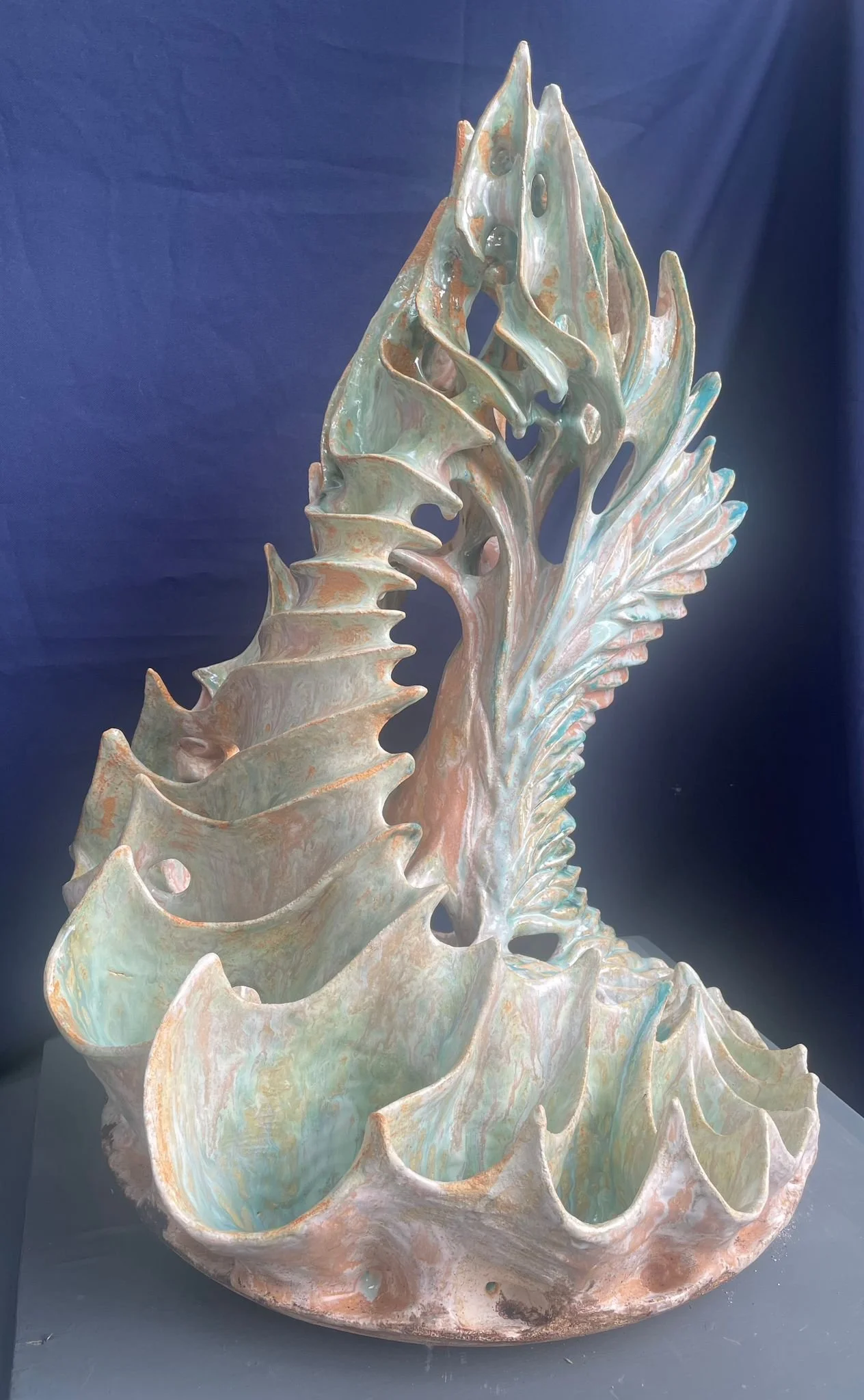 WhatsApp Image 2026-02-16 at 21.45.14.jpeg