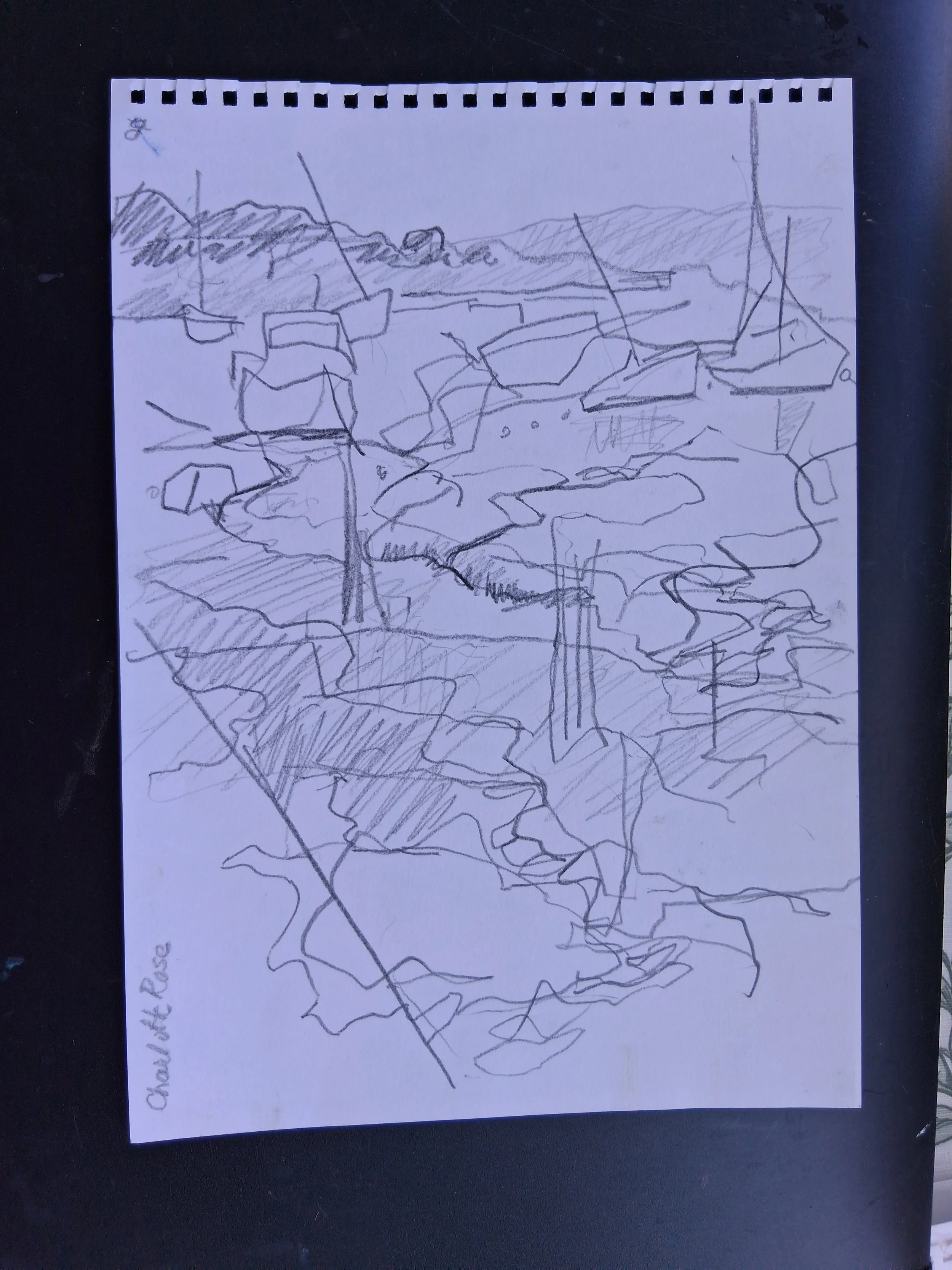 AMWhaley.sketch1.jpg