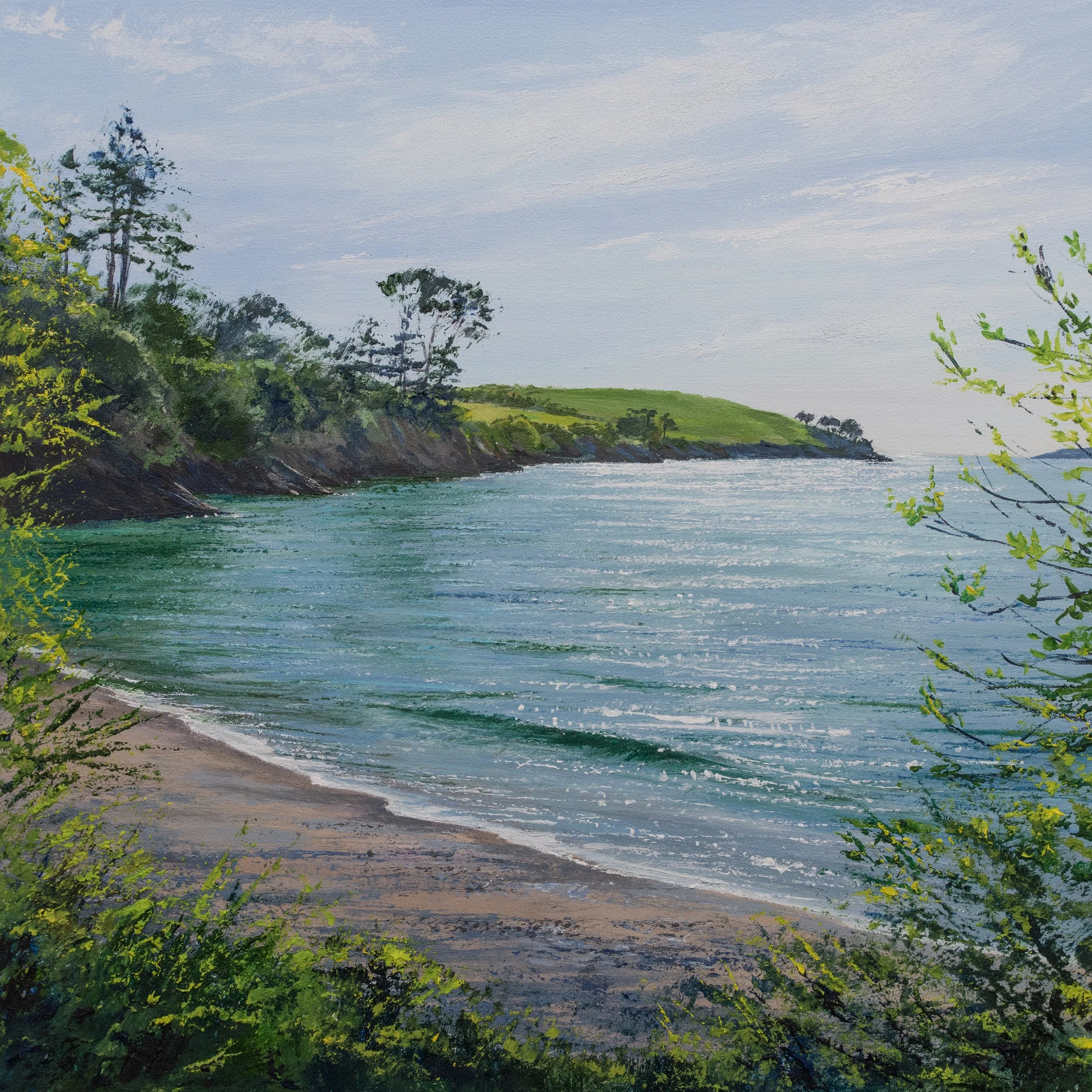 Morning Swim, Grebe Beach.jpg