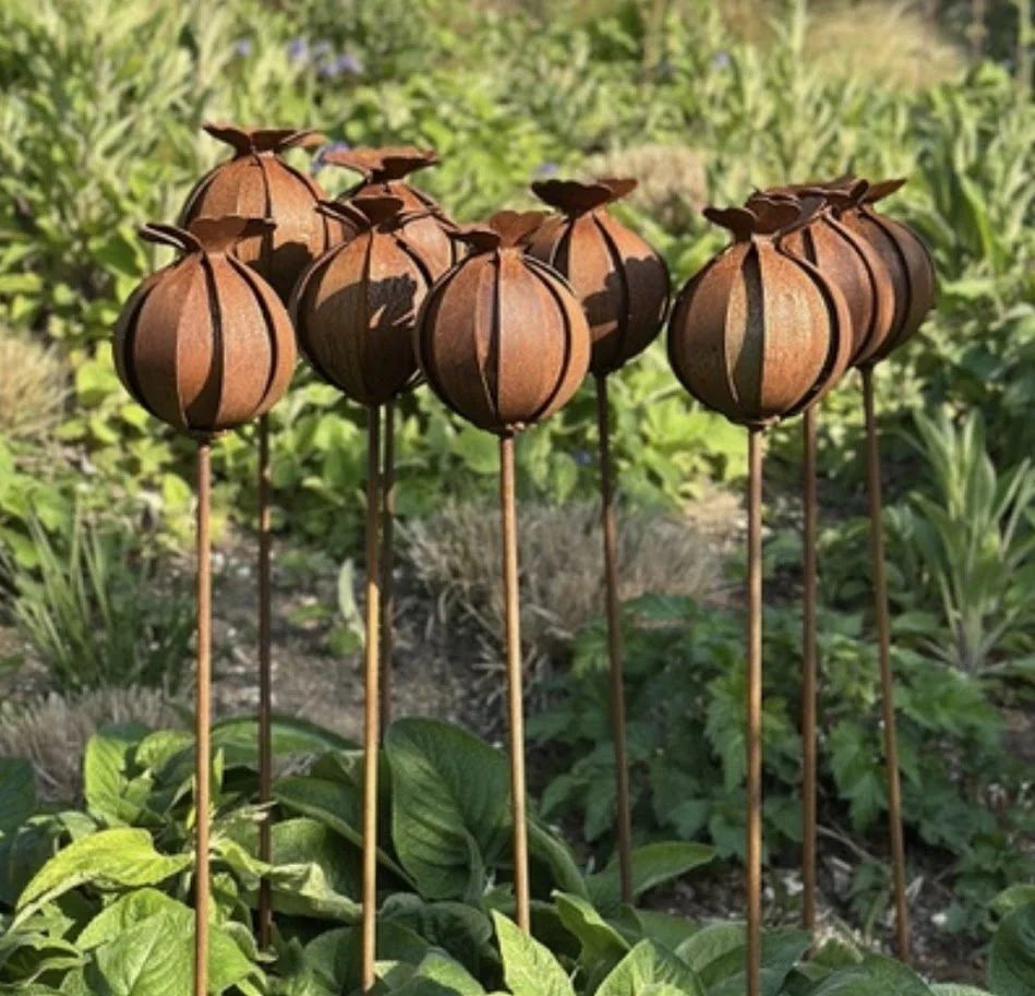 NICCI - LARGE POPPIES.jpg