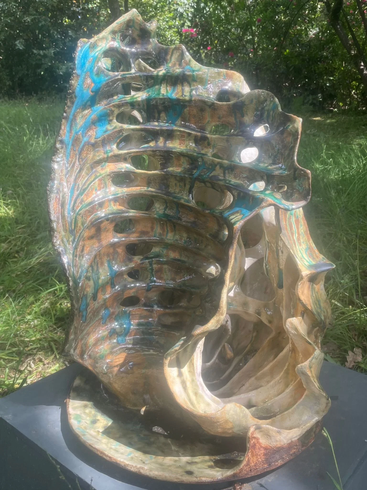 WhatsApp Image 2026-02-16 at 21.45.13.jpeg