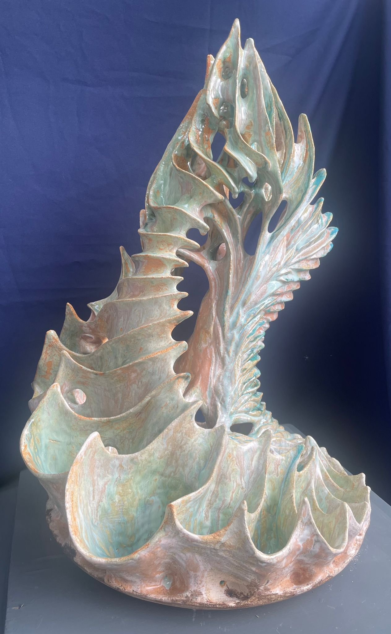 WhatsApp Image 2026-02-16 at 21.45.14.jpeg