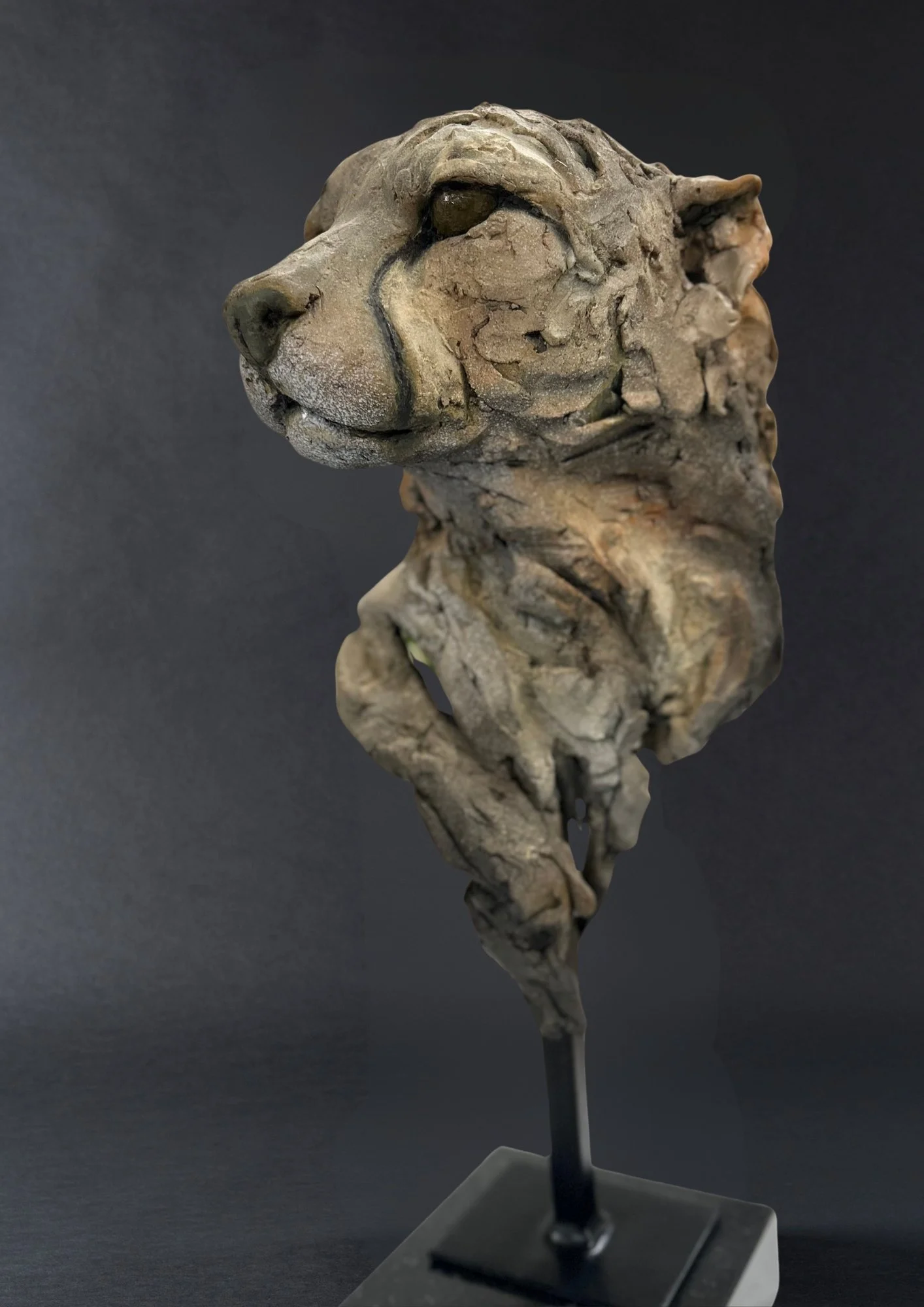 Lucy d’Auvergne_cheetah_dark_bg-11.jpg