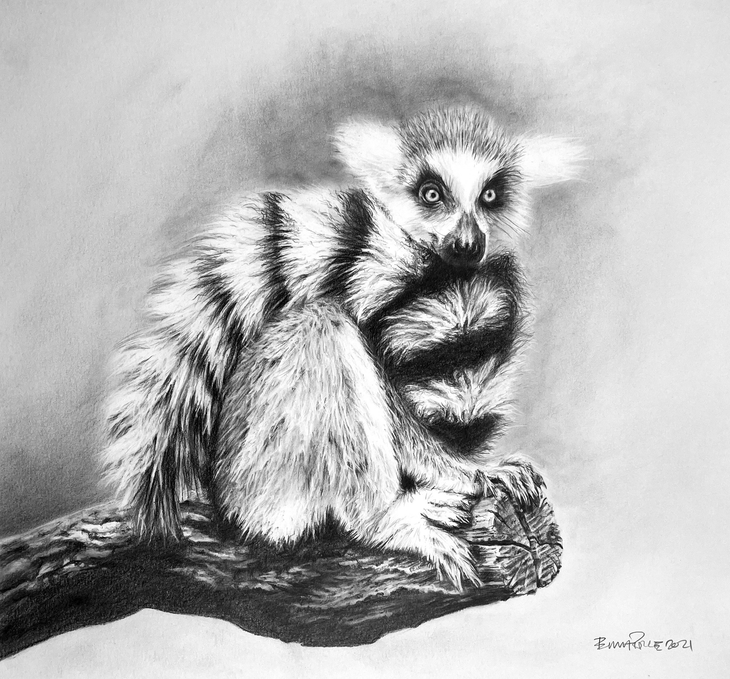 EmmaPRICE_Close to the edge.jpg