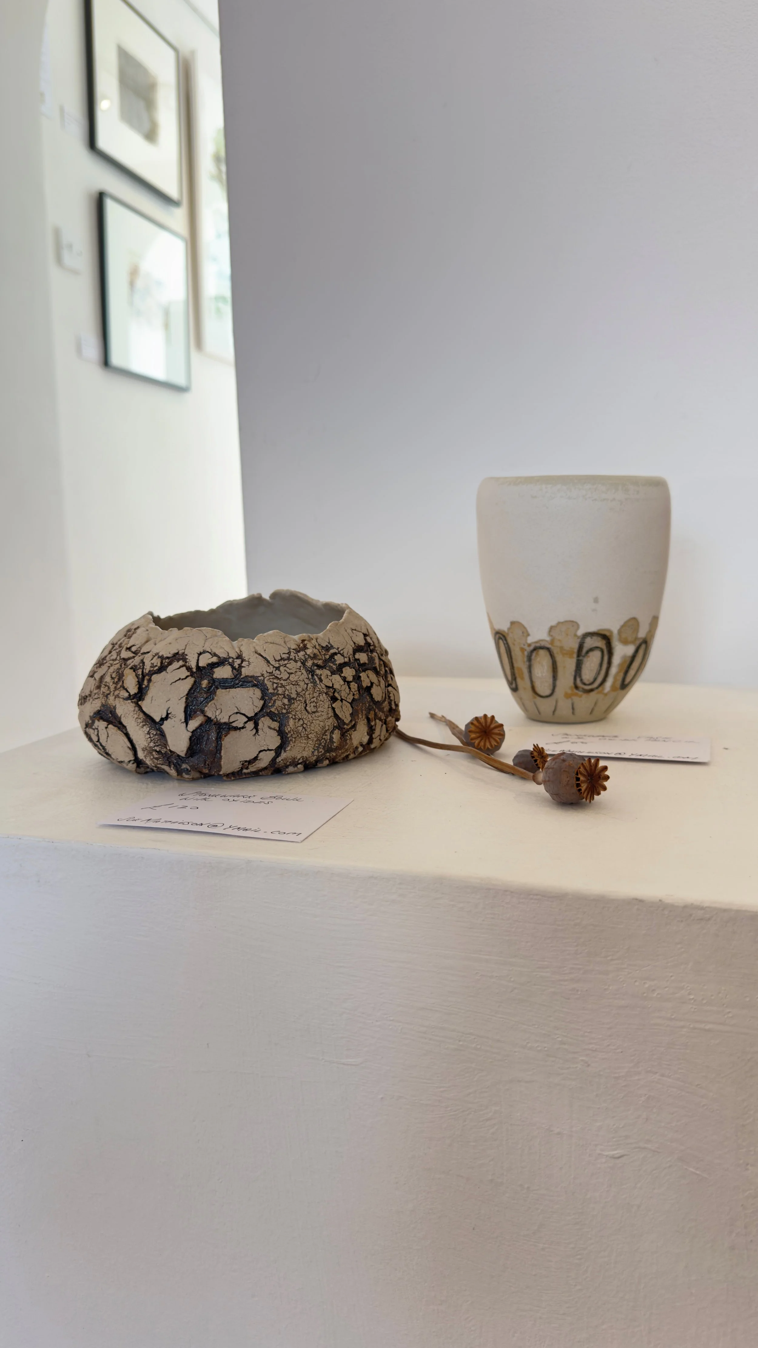 sue.jpg