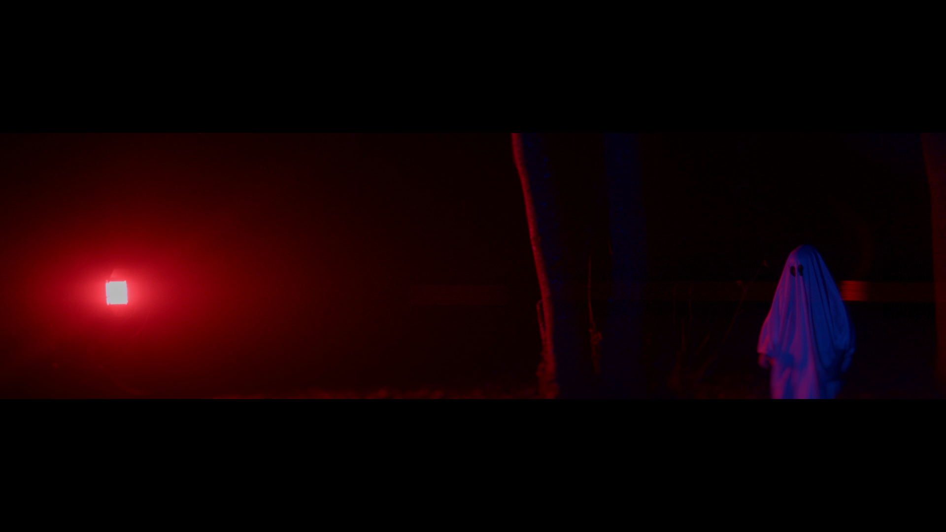 vlcsnap-2025-01-13-19h58m08s513.png
