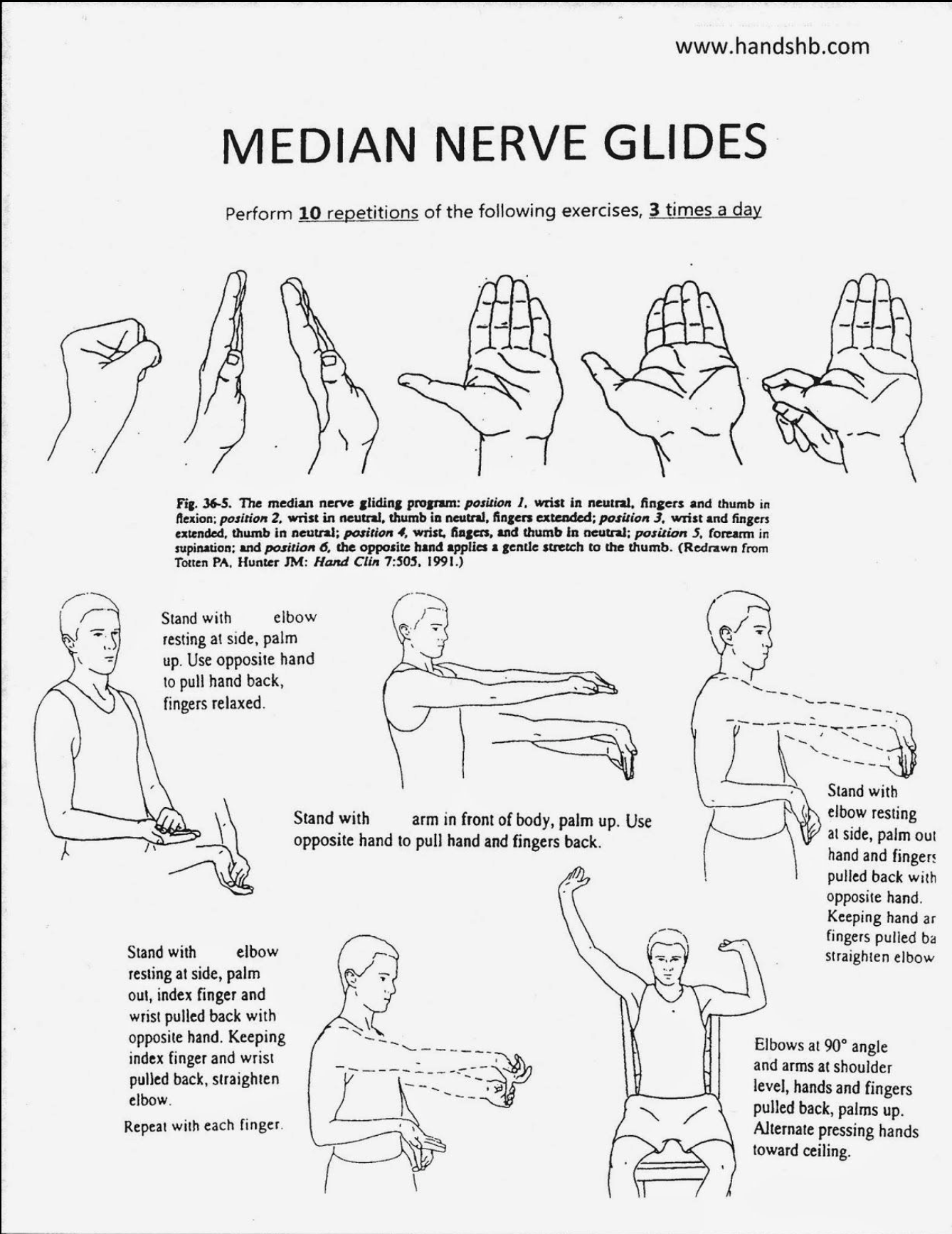 Why Floss More Than Just Your Teeth:                 The Median Nerve