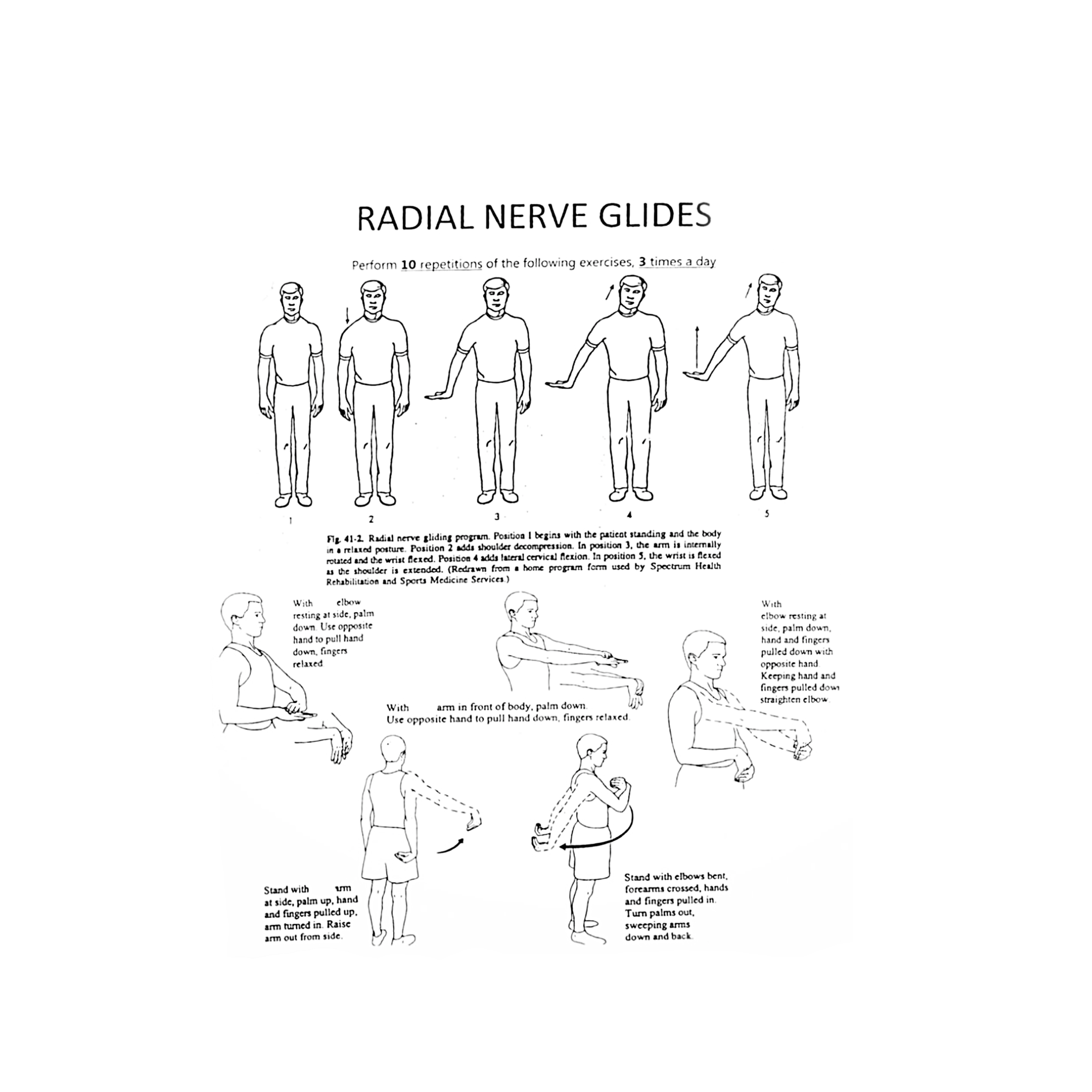 Why Floss More Than Just Your Teeth: The Radial Nerve