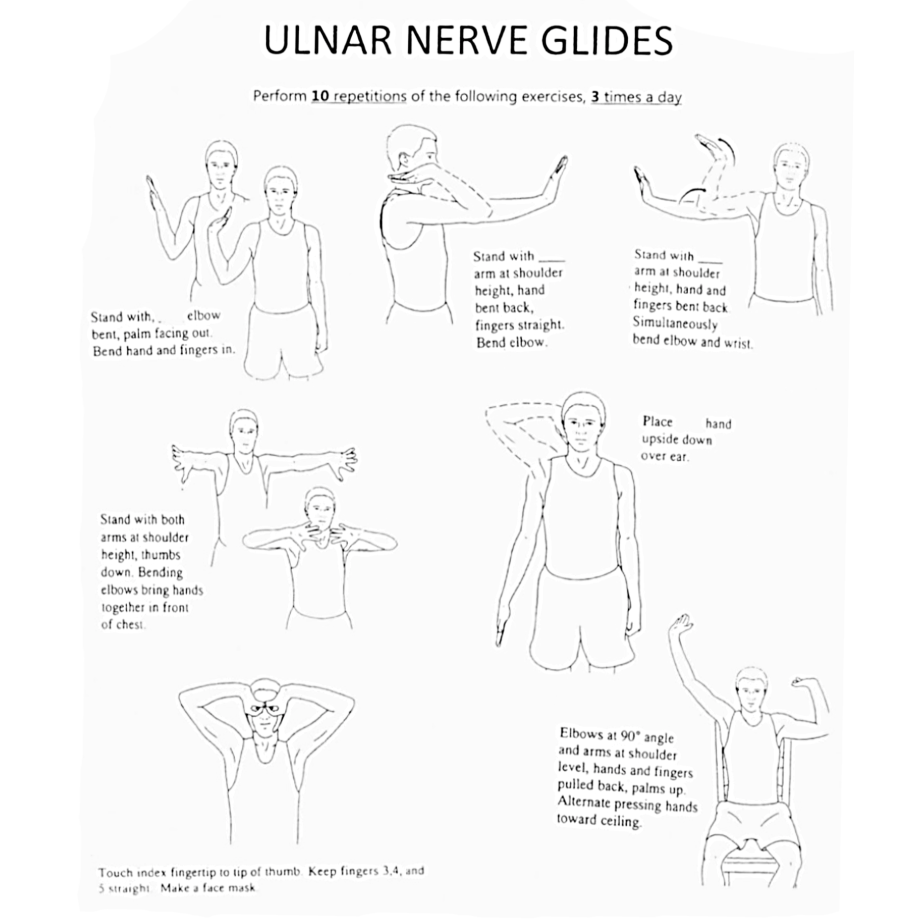 The Ulnar Nerve