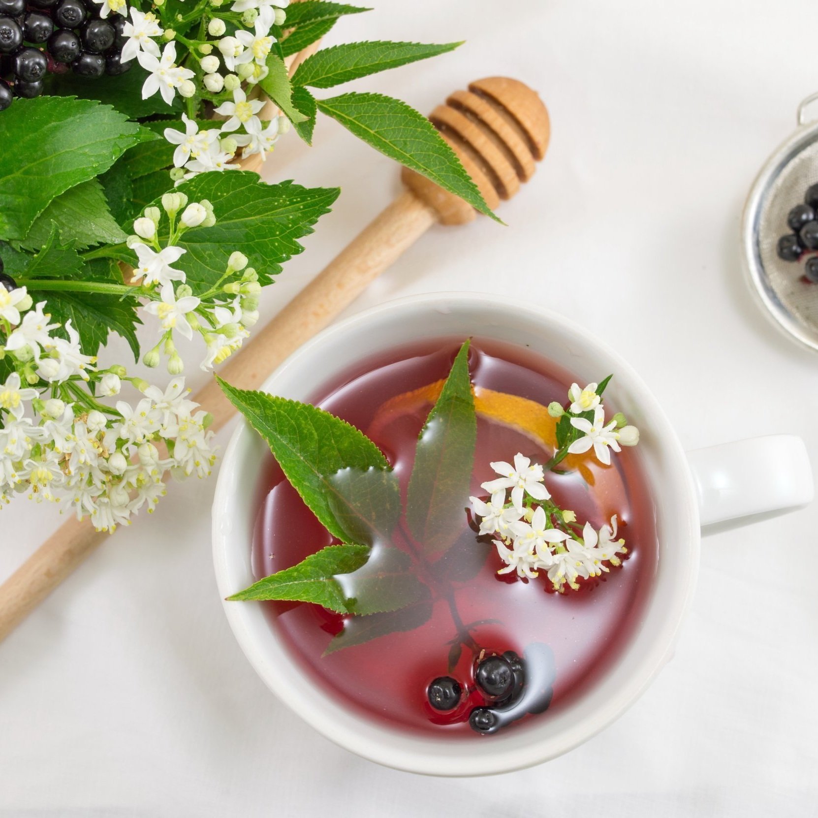 Tummy Love Hand Blended Herbal Hot Tea in Teacup Image Strange Makes StrangeMakes Wendi Strange