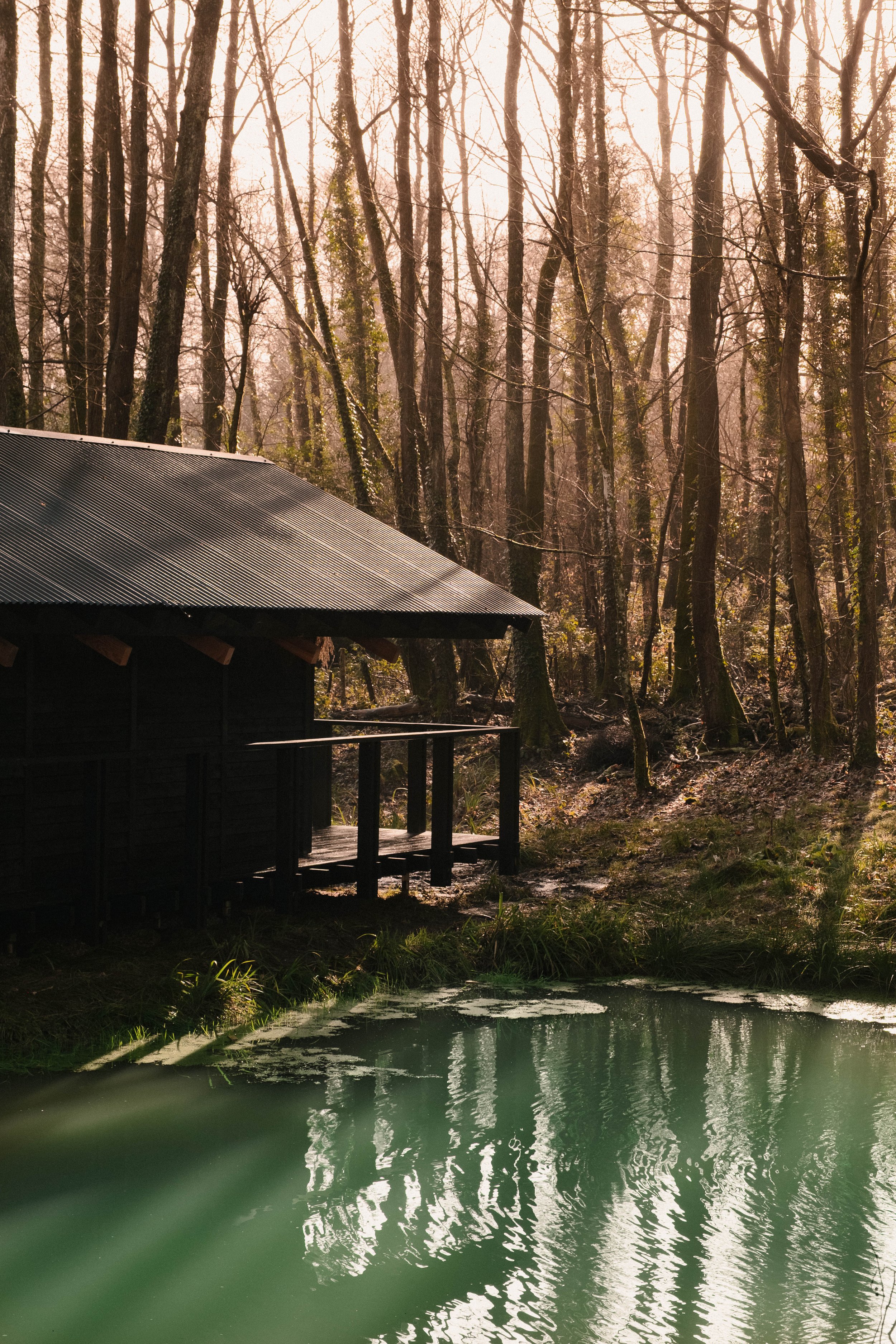 Architect's Holiday Yogi's Cabin