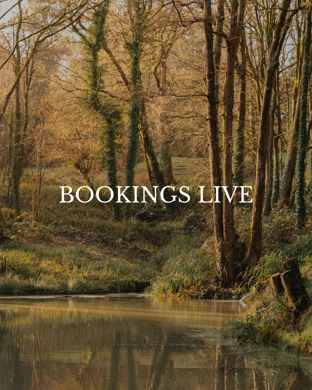 Bookings are now live, with first access for our subscribers.

Yogi&rsquo;s Cabin: Available for stays from 1 May
Bather&rsquo;s Cabin: Available for stays from 1 June

This is the next chapter for Architect&rsquo;s Holiday, thank you for supporting 