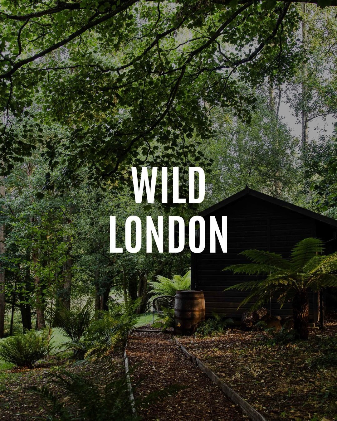 Wild London, the forthcoming guide from @hoxtonminipress by @kassondracloos, features Architect&rsquo;s Holiday among its collection of nature-filled escapes in and around the city.

Exploring the wilder corners beyond the urban rush, the book gather