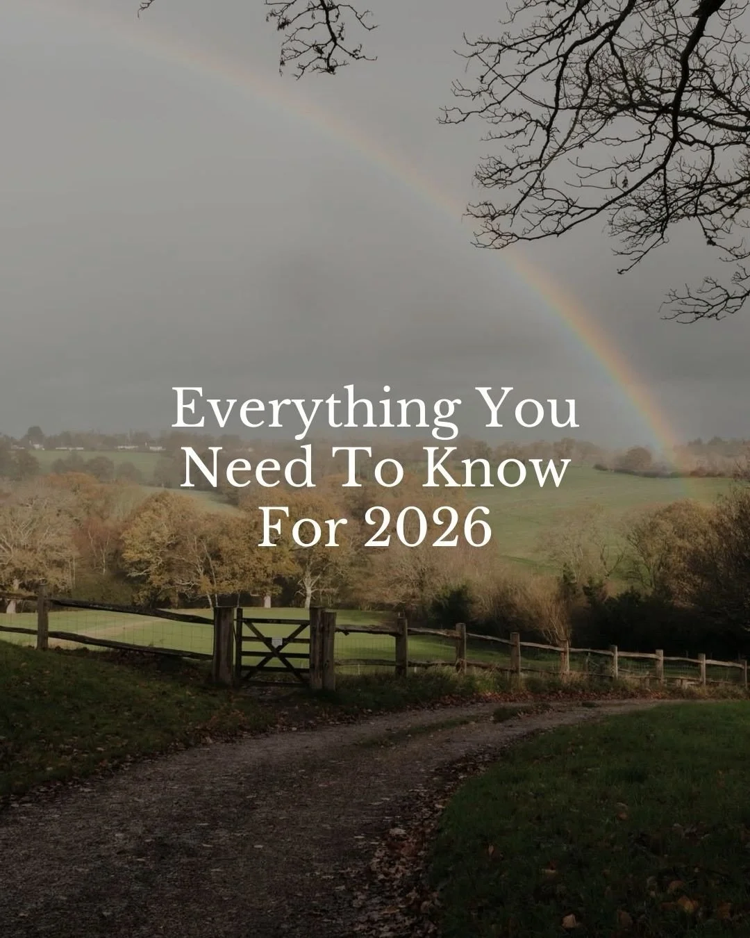 A lot has been happening at Architects Holiday.

Two new cabins are arriving in 2026 - Yogi&rsquo;s and Bather&rsquo;s. Alongside the original spaces - Cabin X and Hill Cabin. 

Here&rsquo;s everything you need to know to plan your stay.