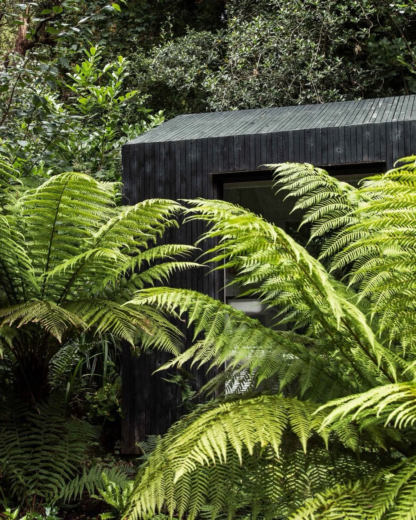 Cabin X is shaped by panoramic windows, a private terrace and an outdoor fire pit. Creating a space that moves easily between inside and out. 

Just 1.5 hours from London in the heart of East Sussex, tucked away in the woods for a slower pace of livi