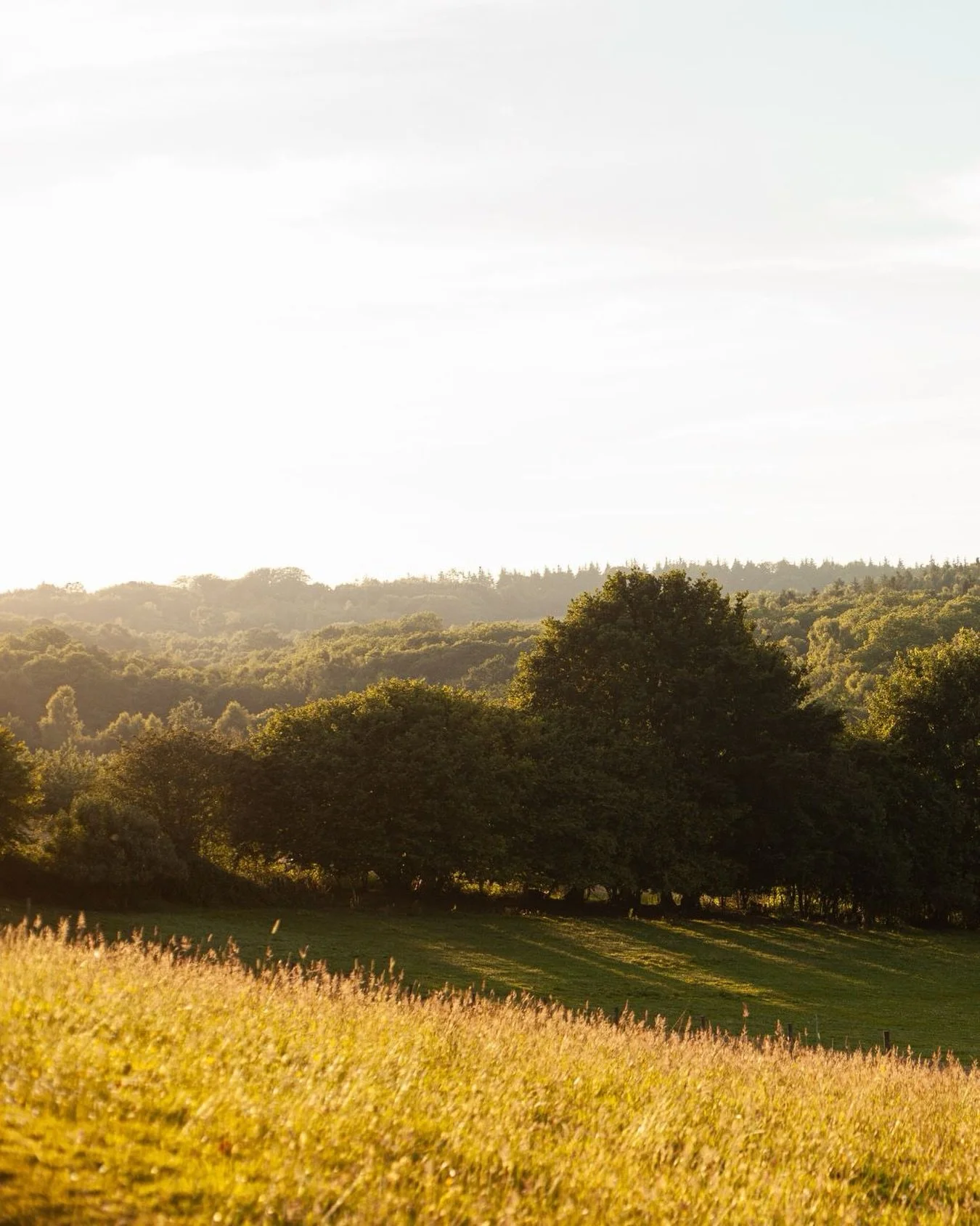 In 28 days, the clocks change, and with them, the first real sign of the season turning.

Evenings begin to stretch. The sun sets at 7.30, then 8.30, then 9.30.

Before you know it, it&rsquo;s summer.

Those longer days are coming.

Book your spring/
