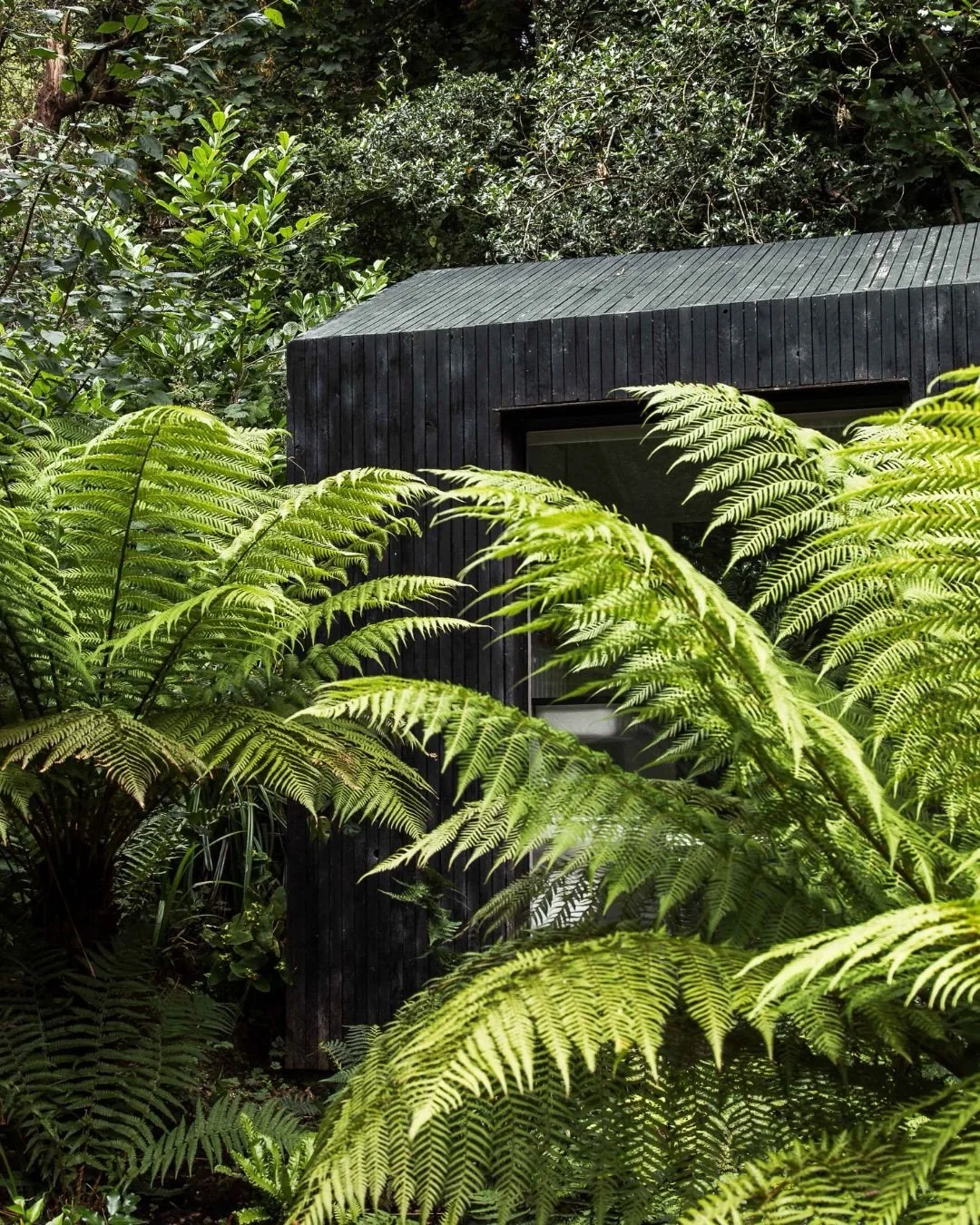 Tucked away in the trees, Cabin X was the original cabin at Architects Holiday, designed as a simple retreat shaped around pared-back living and a closer connection to the outdoors.

Large windows frame the landscape, with the bed and bathroom positi