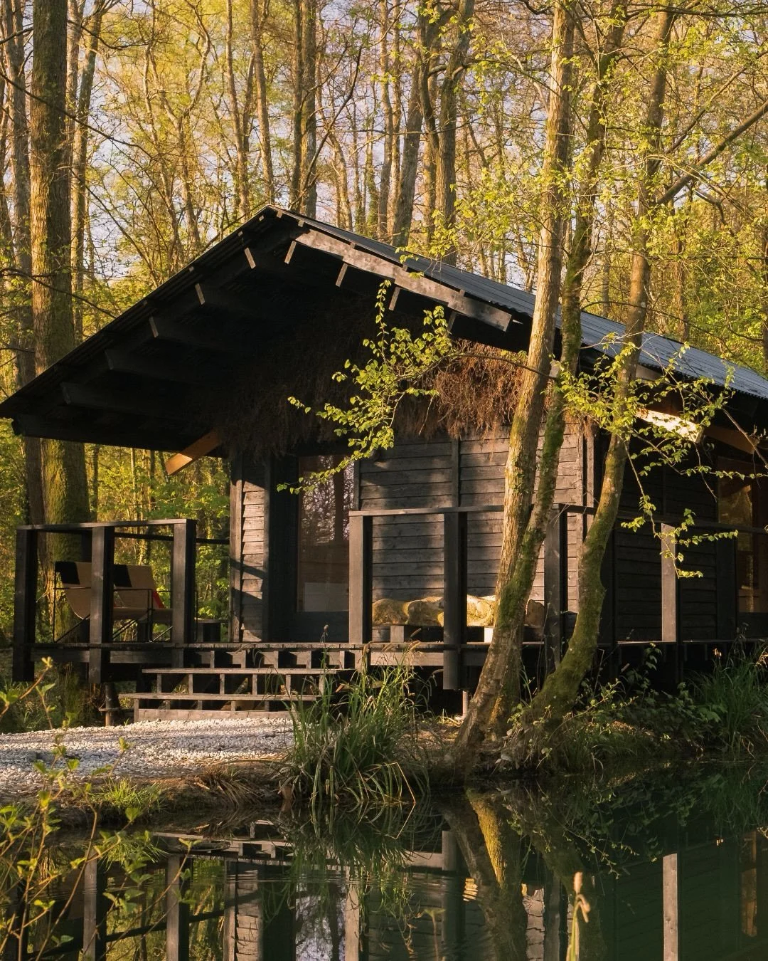 The first heatwave of the year arriving just in time for the long weekend.

Long evenings outdoors, the woodland staying warm later into the night and the feeling of British summer beginning to settle in again.

The kind of weekend that makes you sta